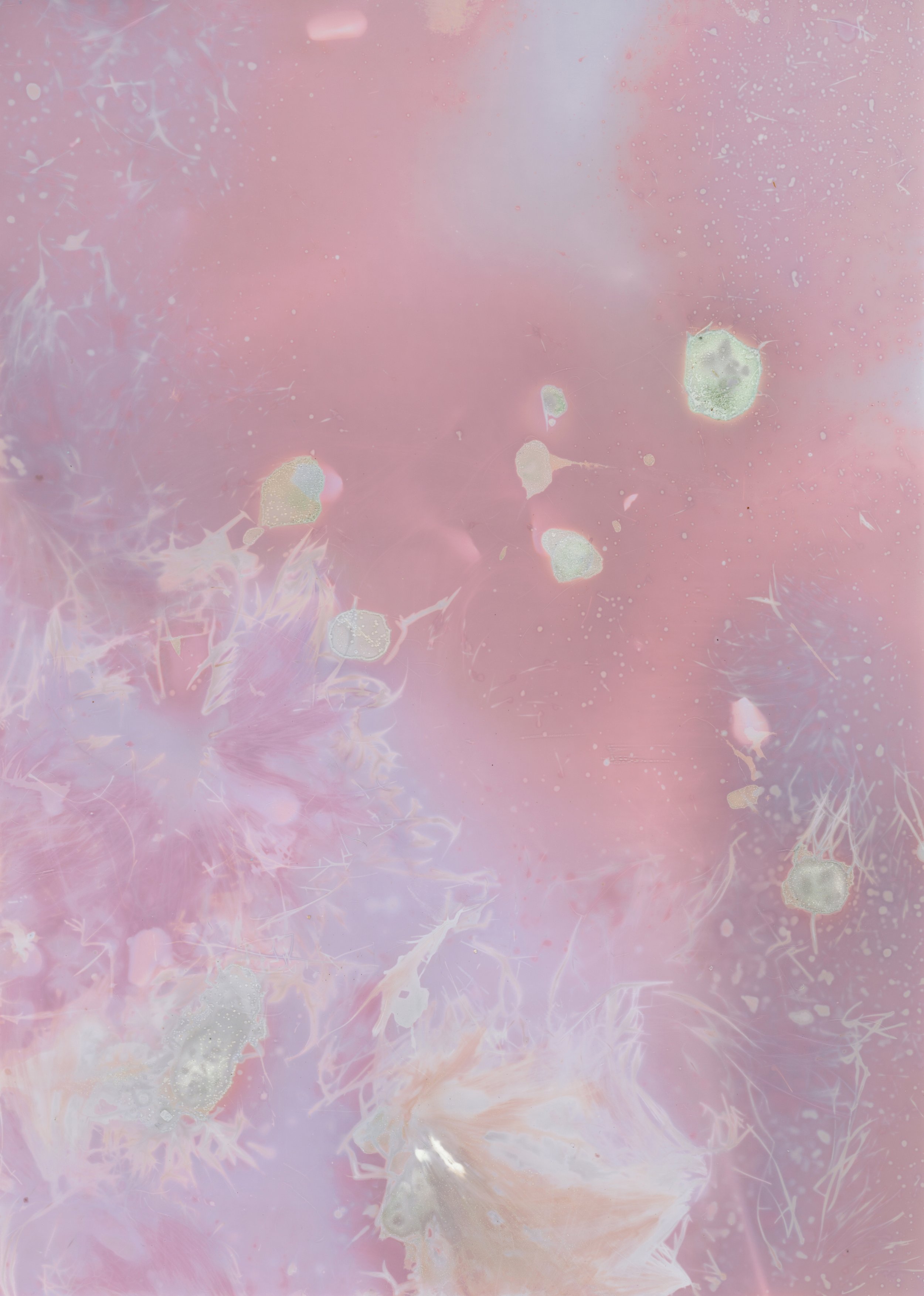 scans20260107_70 copy.jpg