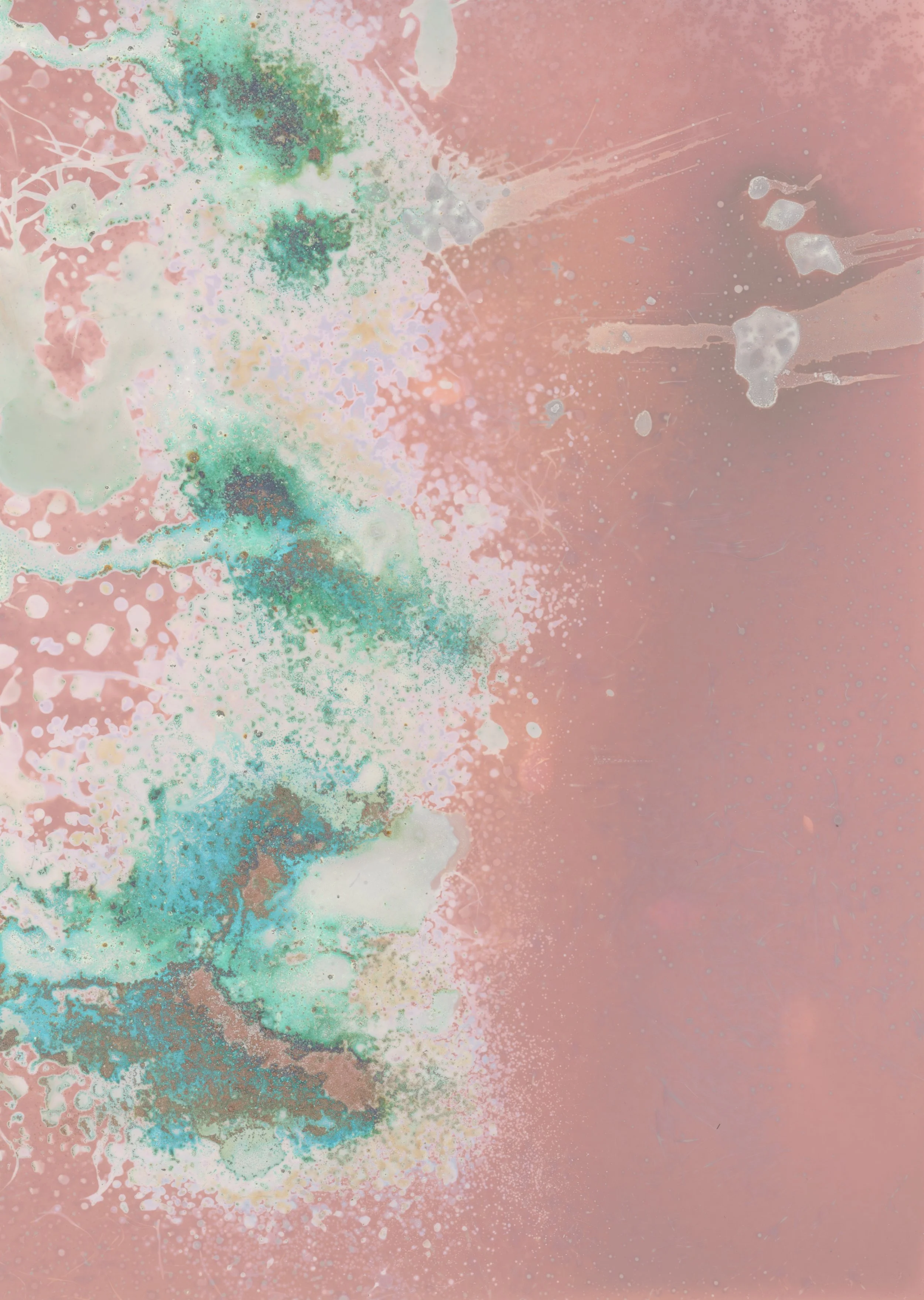 scans20260109_85 copy.jpg