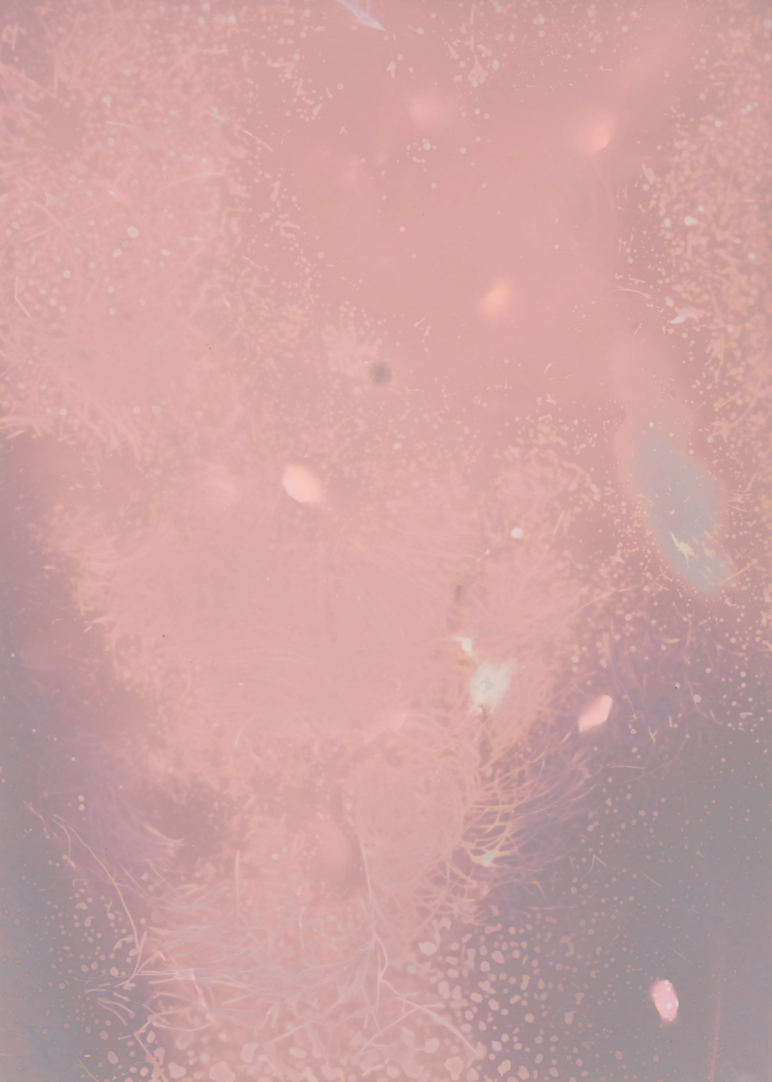 scans20260109_87 copy.jpg