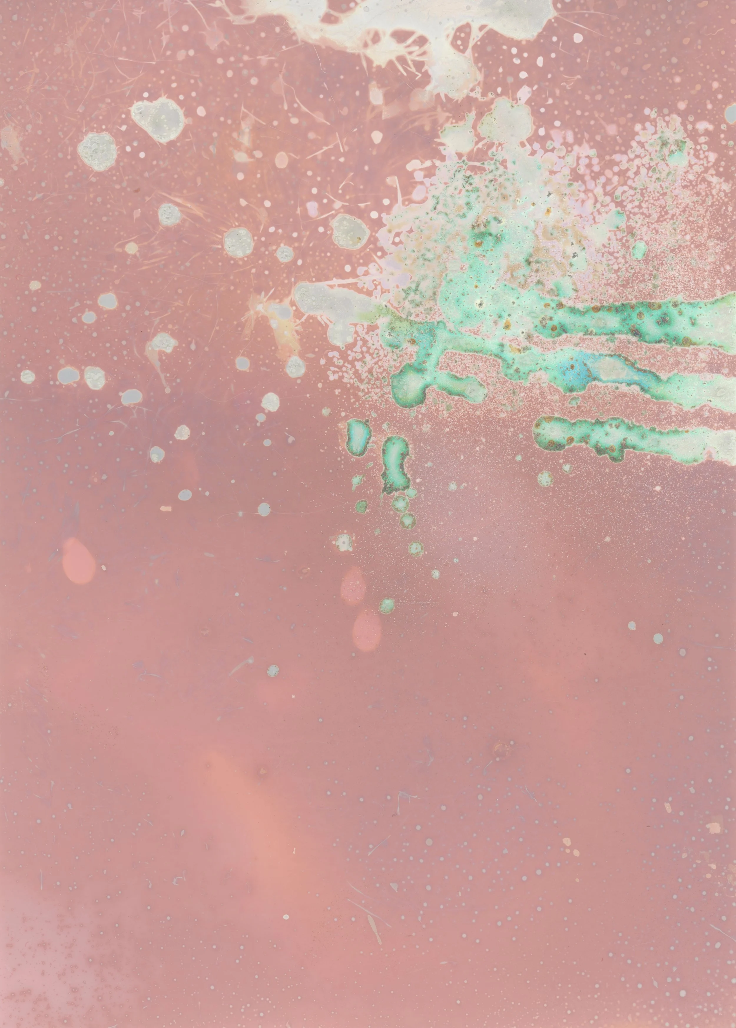 scans20260109_90 copy.jpg