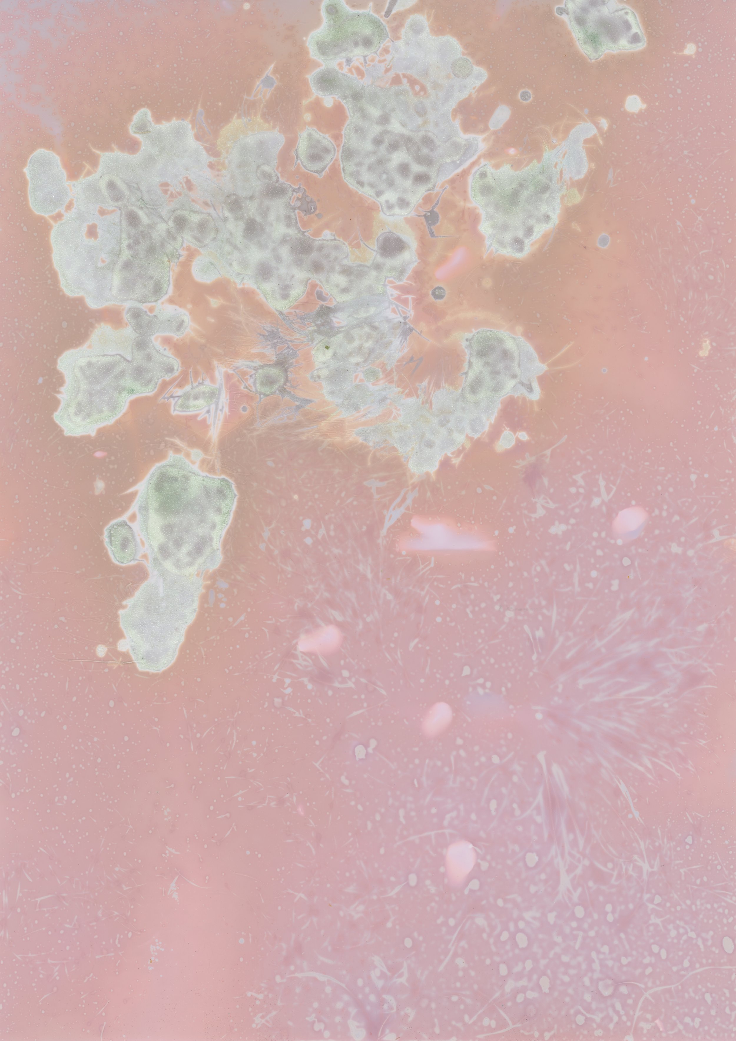 scans20260109_92 copy.jpg