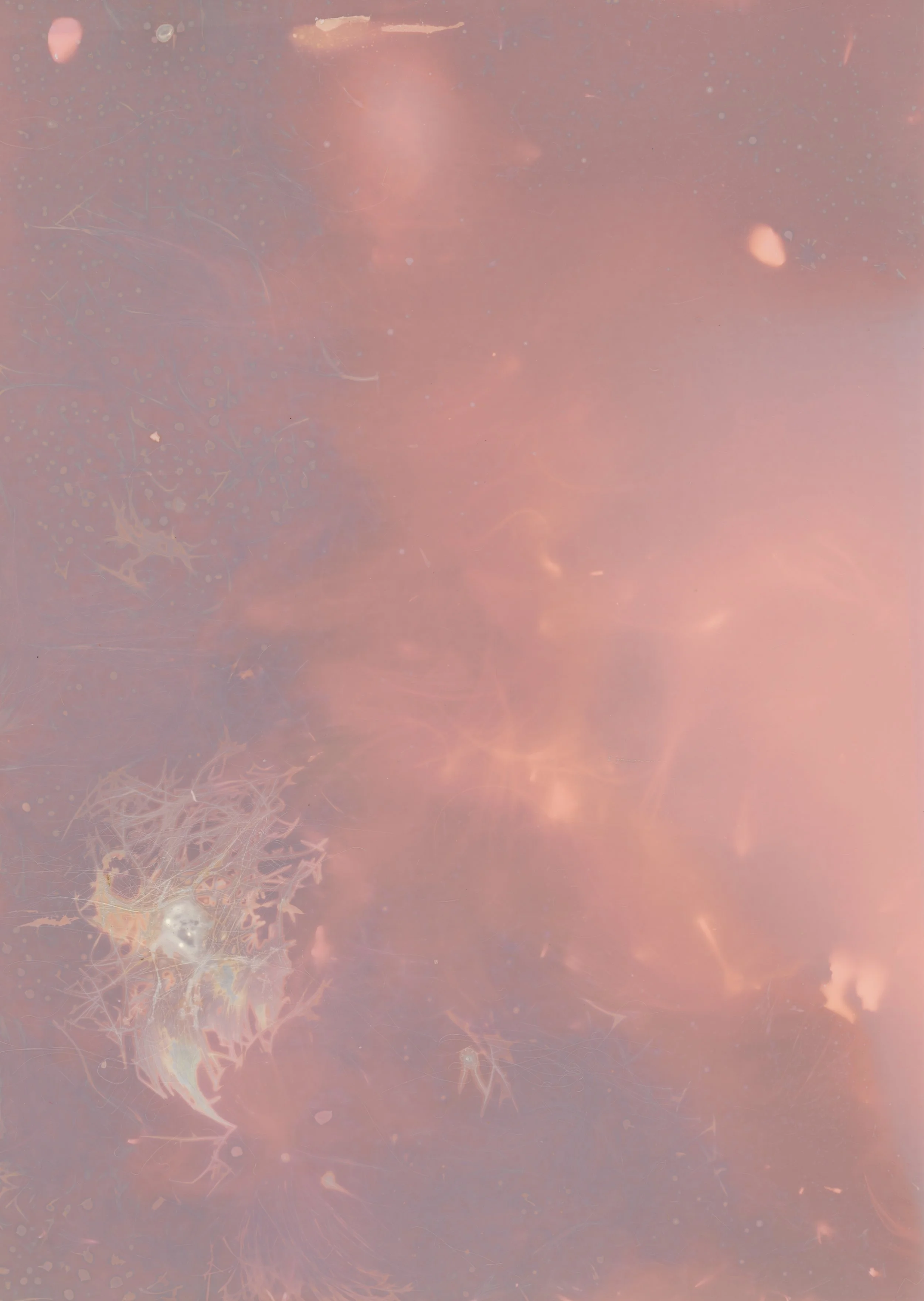 scans20260110_02 copy.jpg