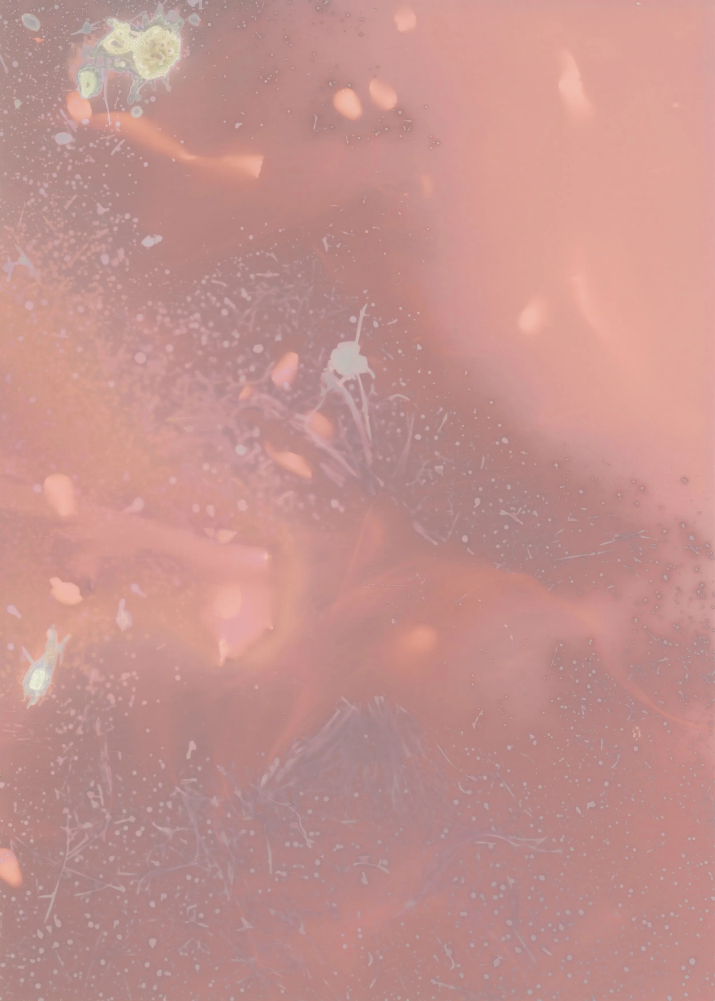 scans20260110_04 copy.jpg