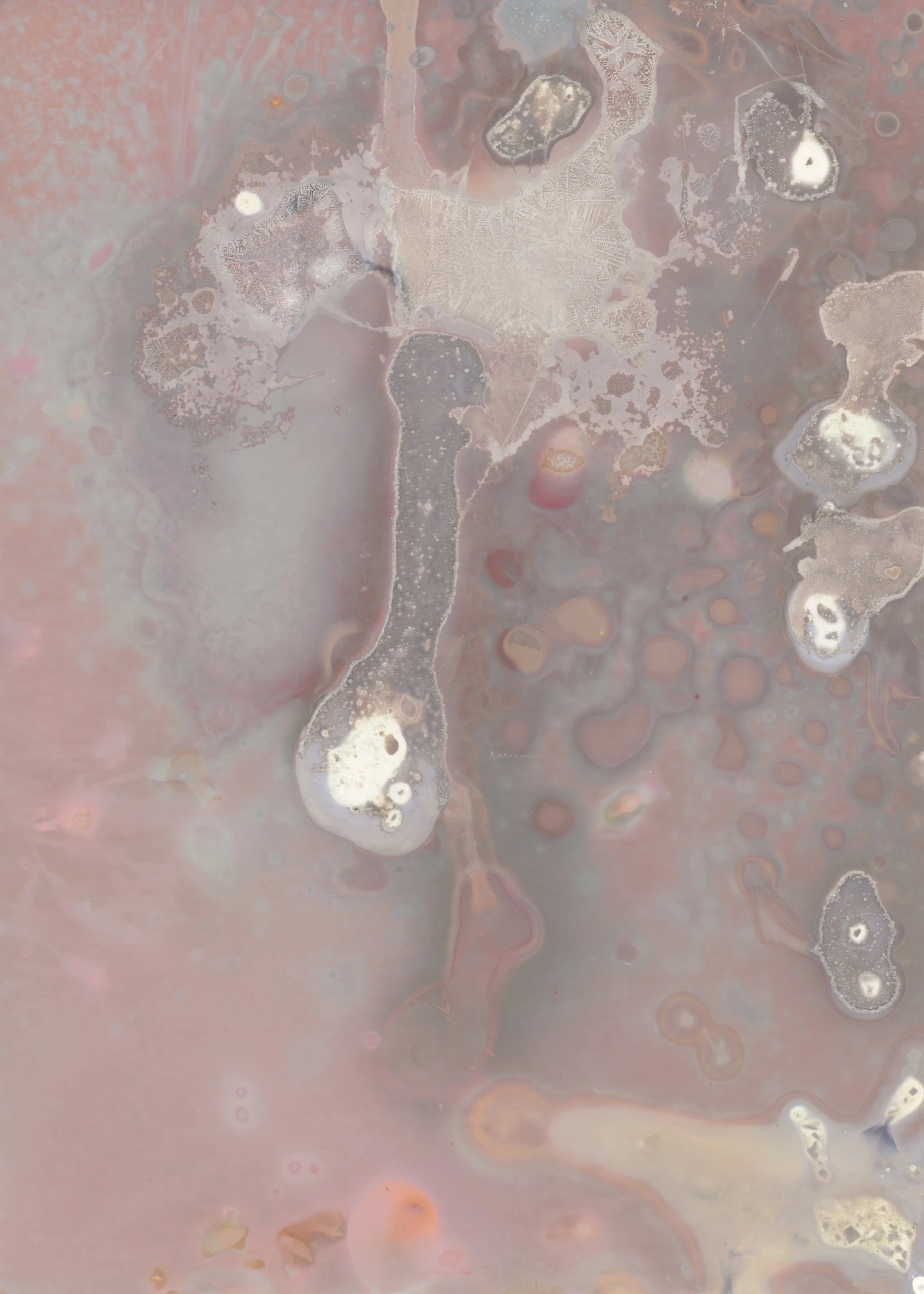 scans20260110_03 copy.jpg