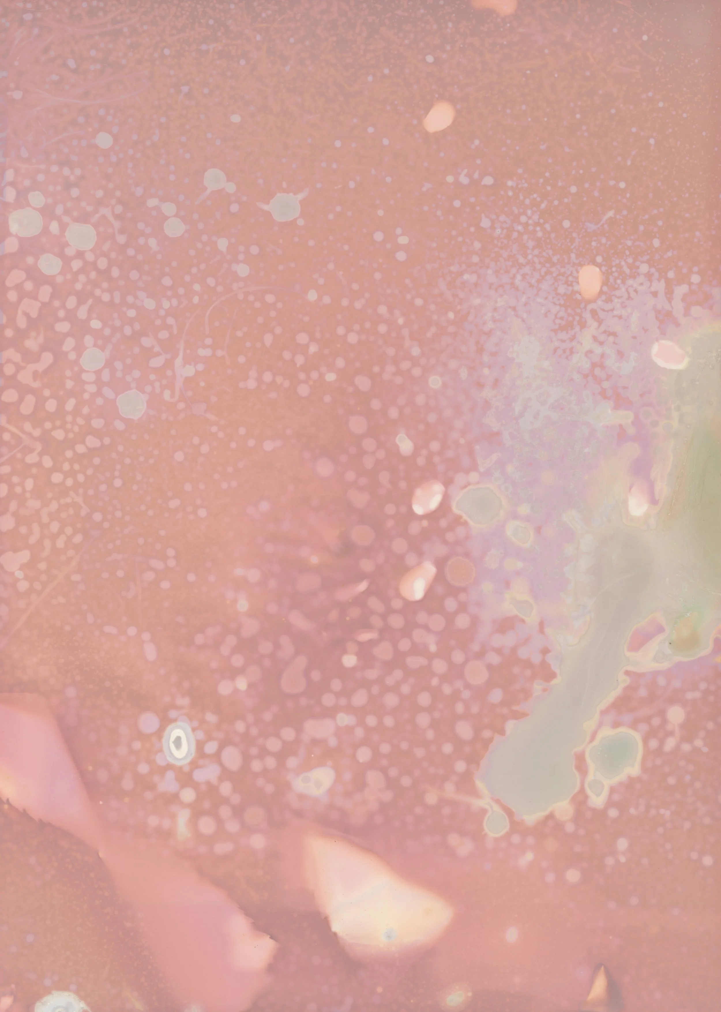 scans20260110_05 copy.jpg