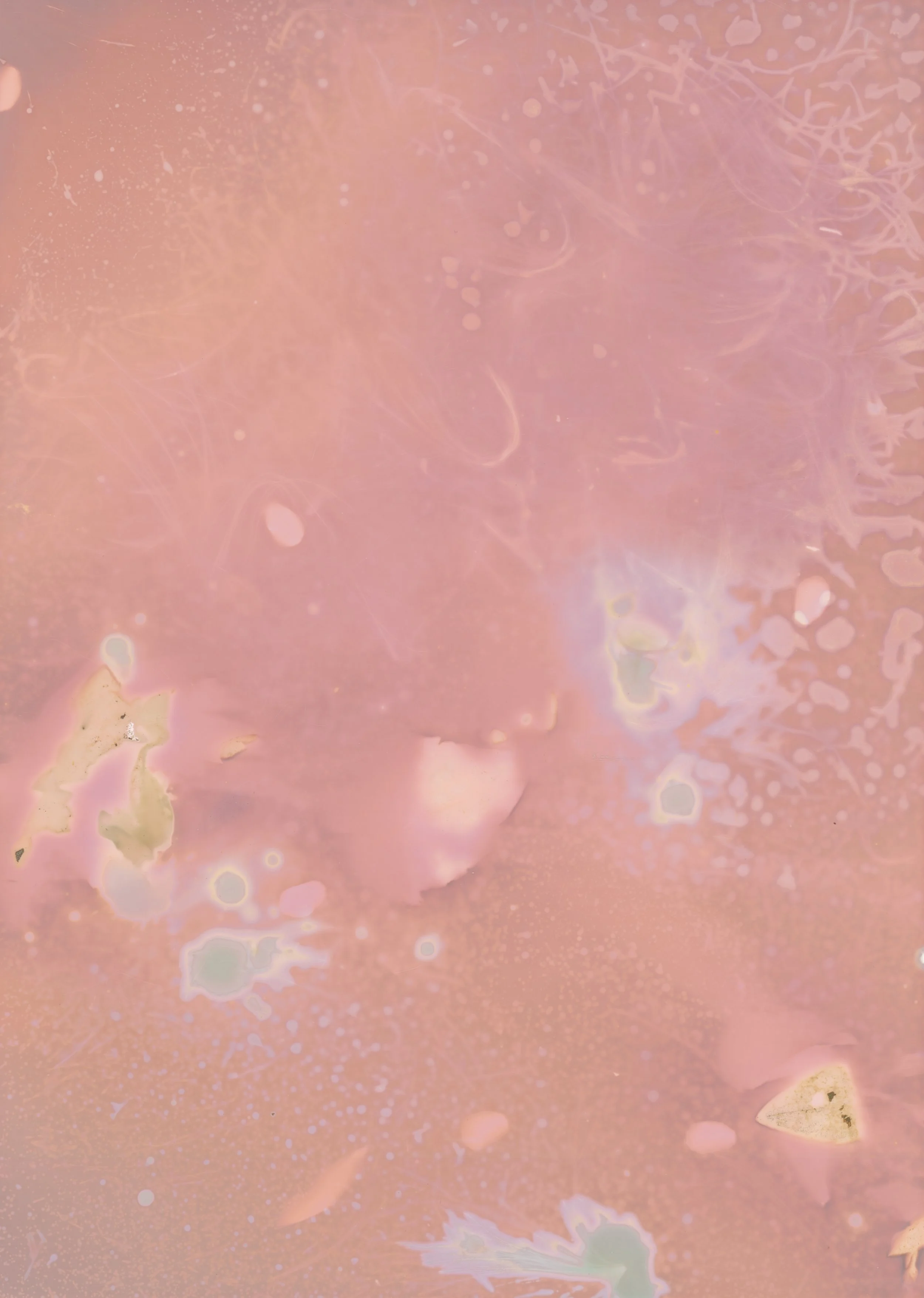 scans20260110_06 copy.jpg