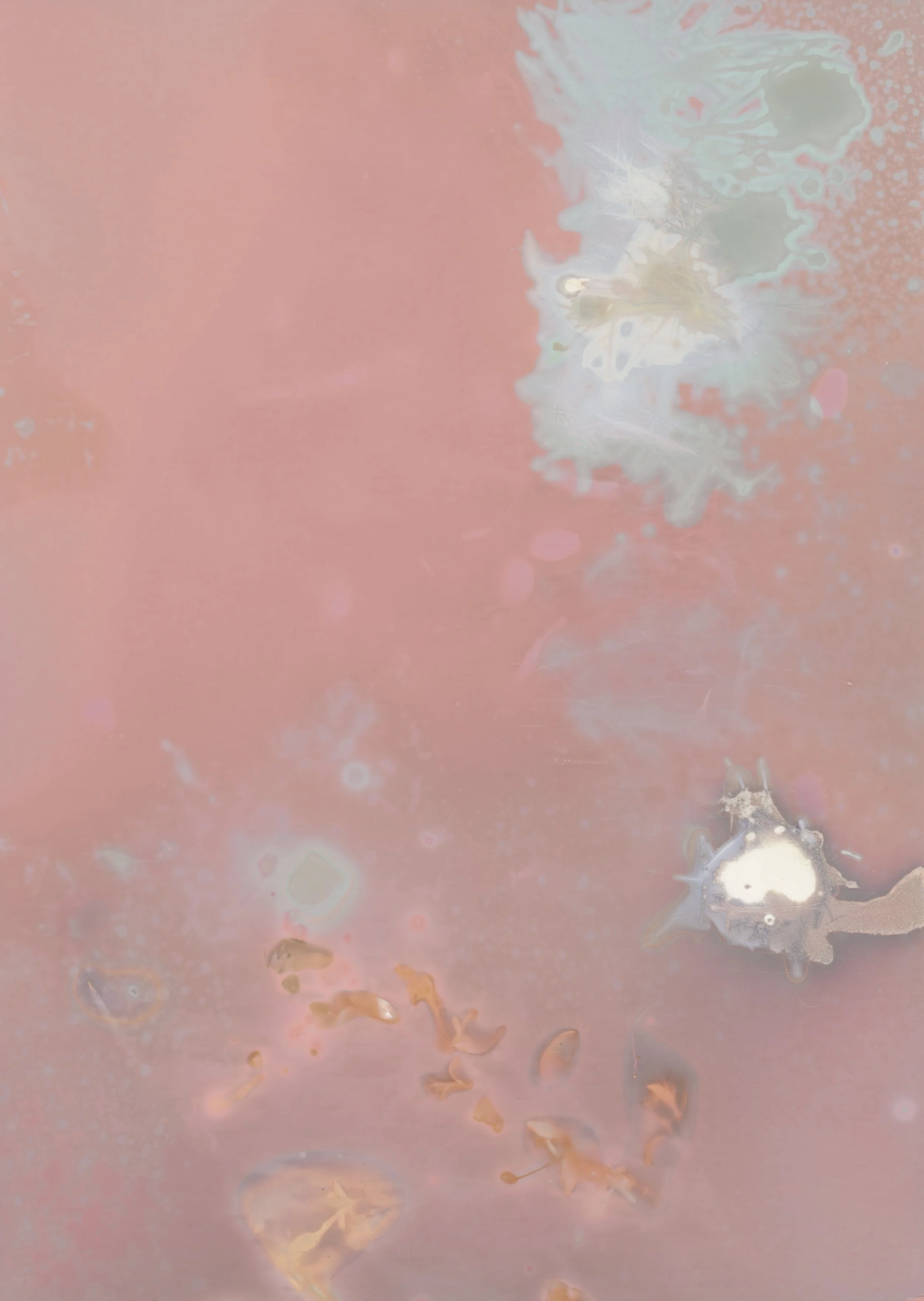 scans20260110_14 copy.jpg