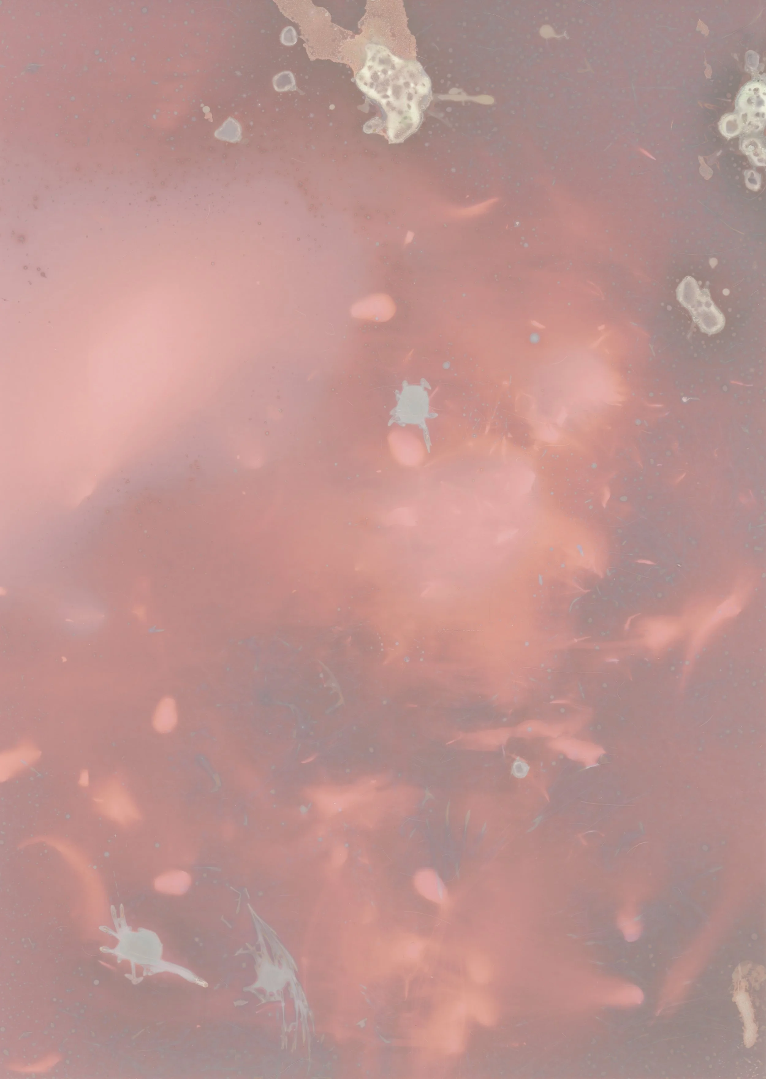 scans20260110_15 copy.jpg