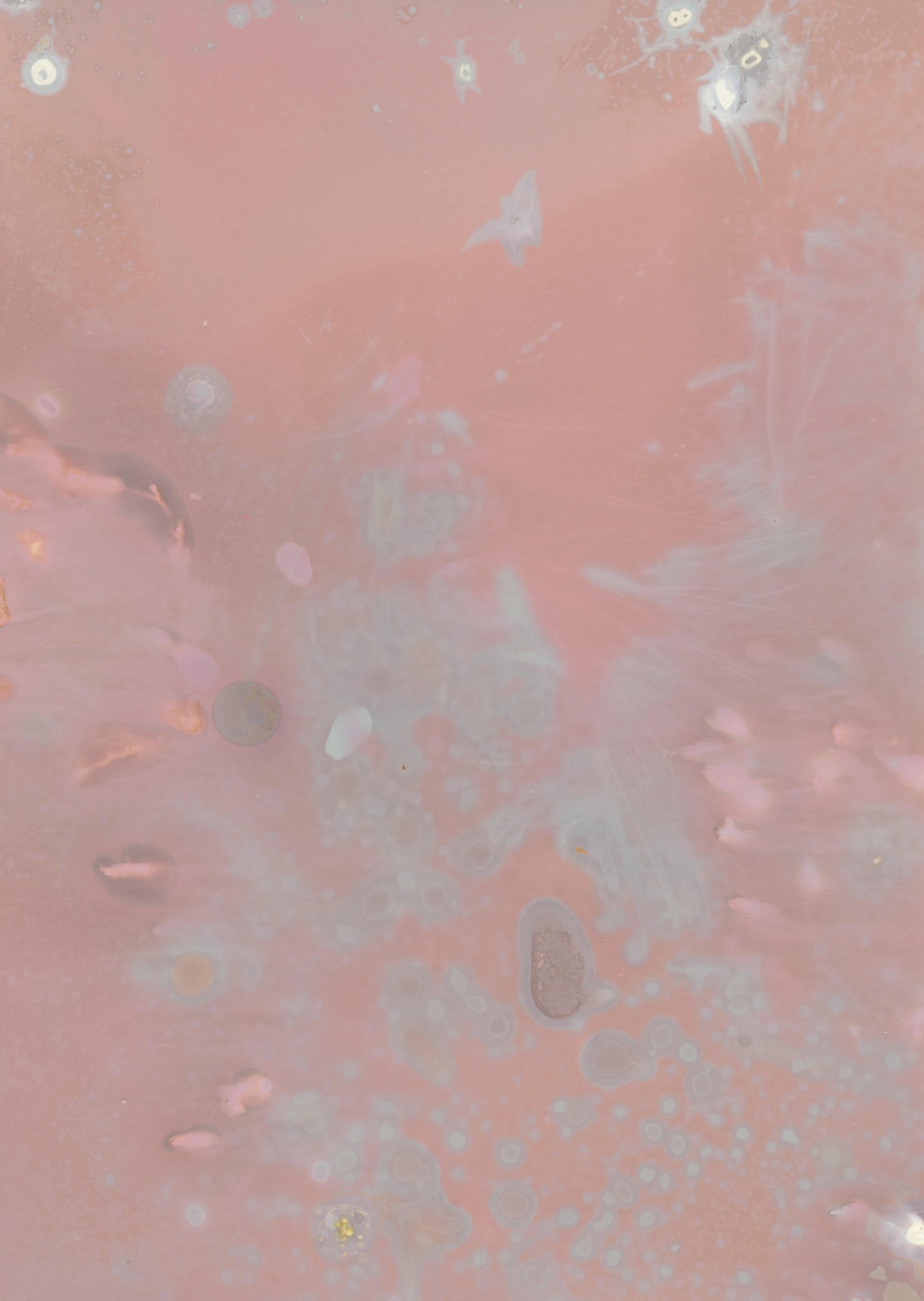 scans20260110_13 copy.jpg