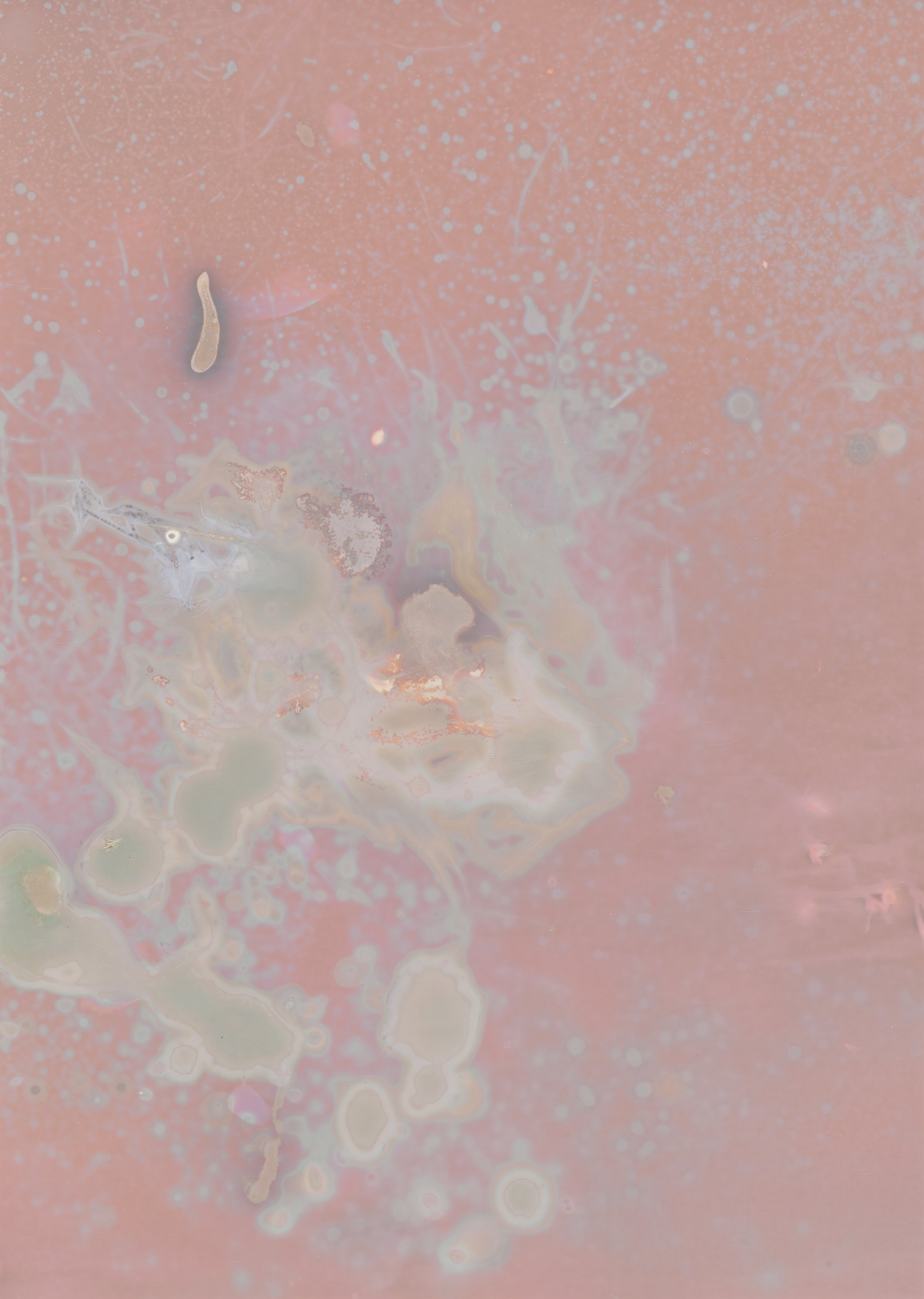 scans20260110_12 copy.jpg