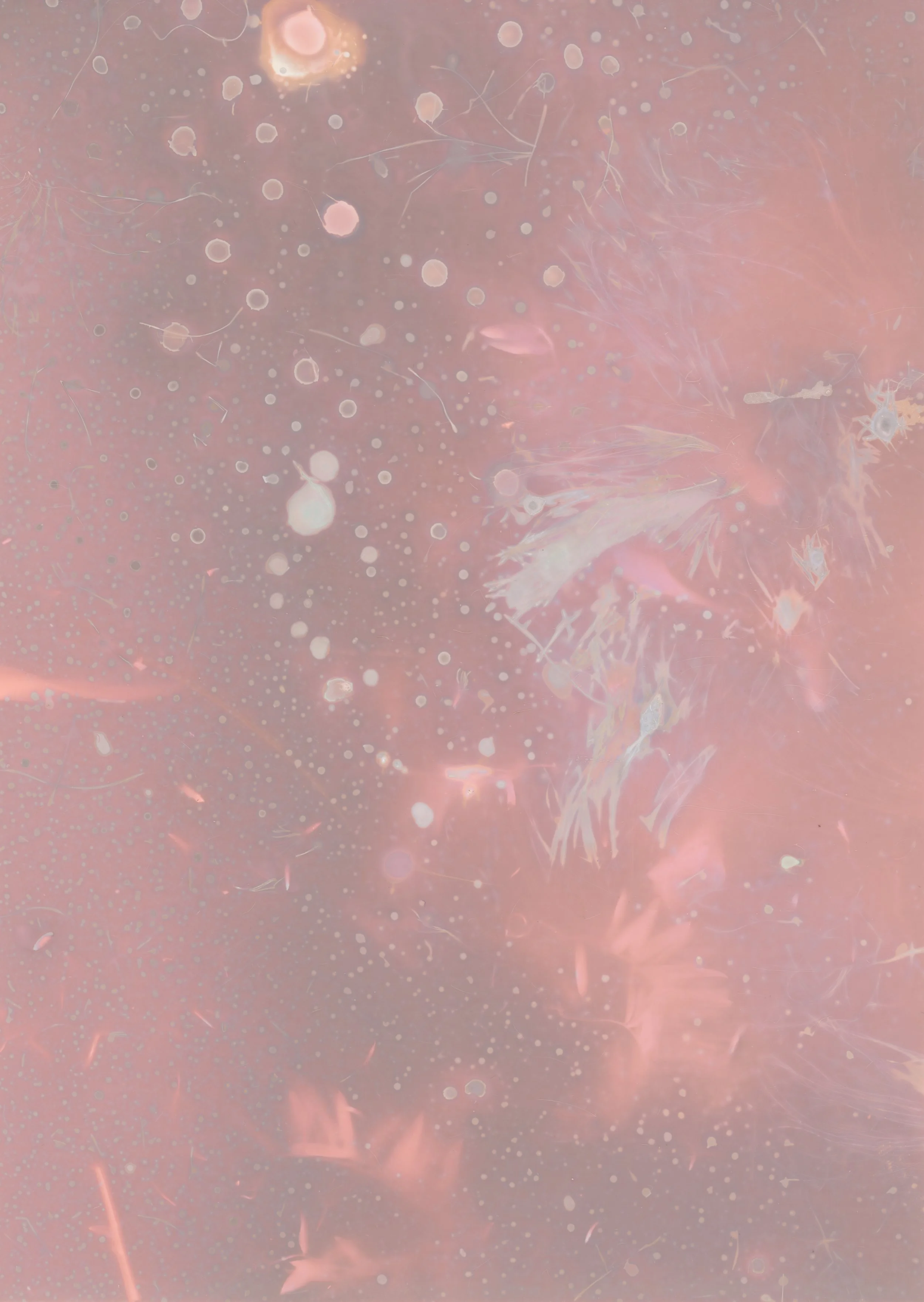 scans20260110_17 copy.jpg