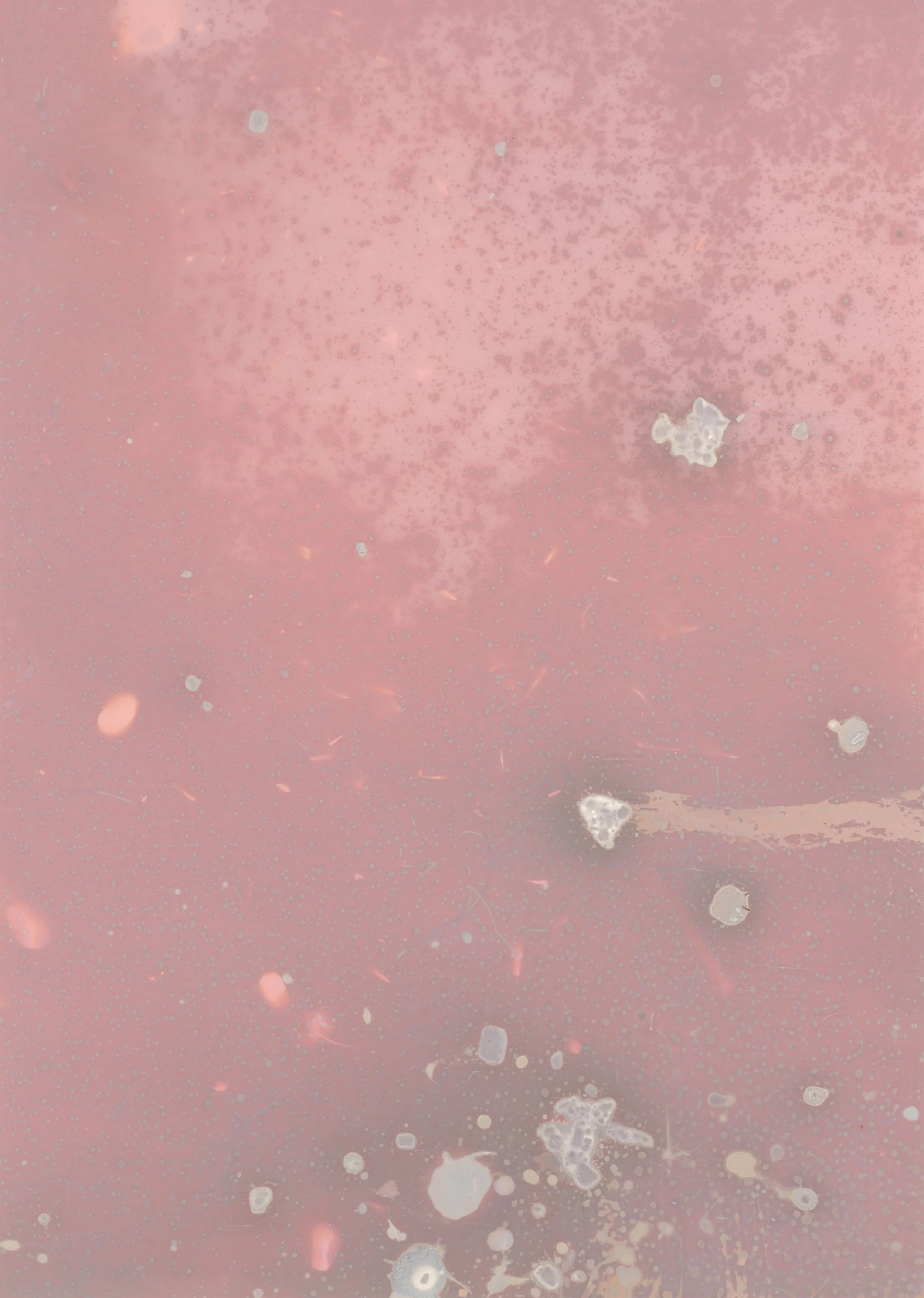 scans20260110_16 copy.jpg