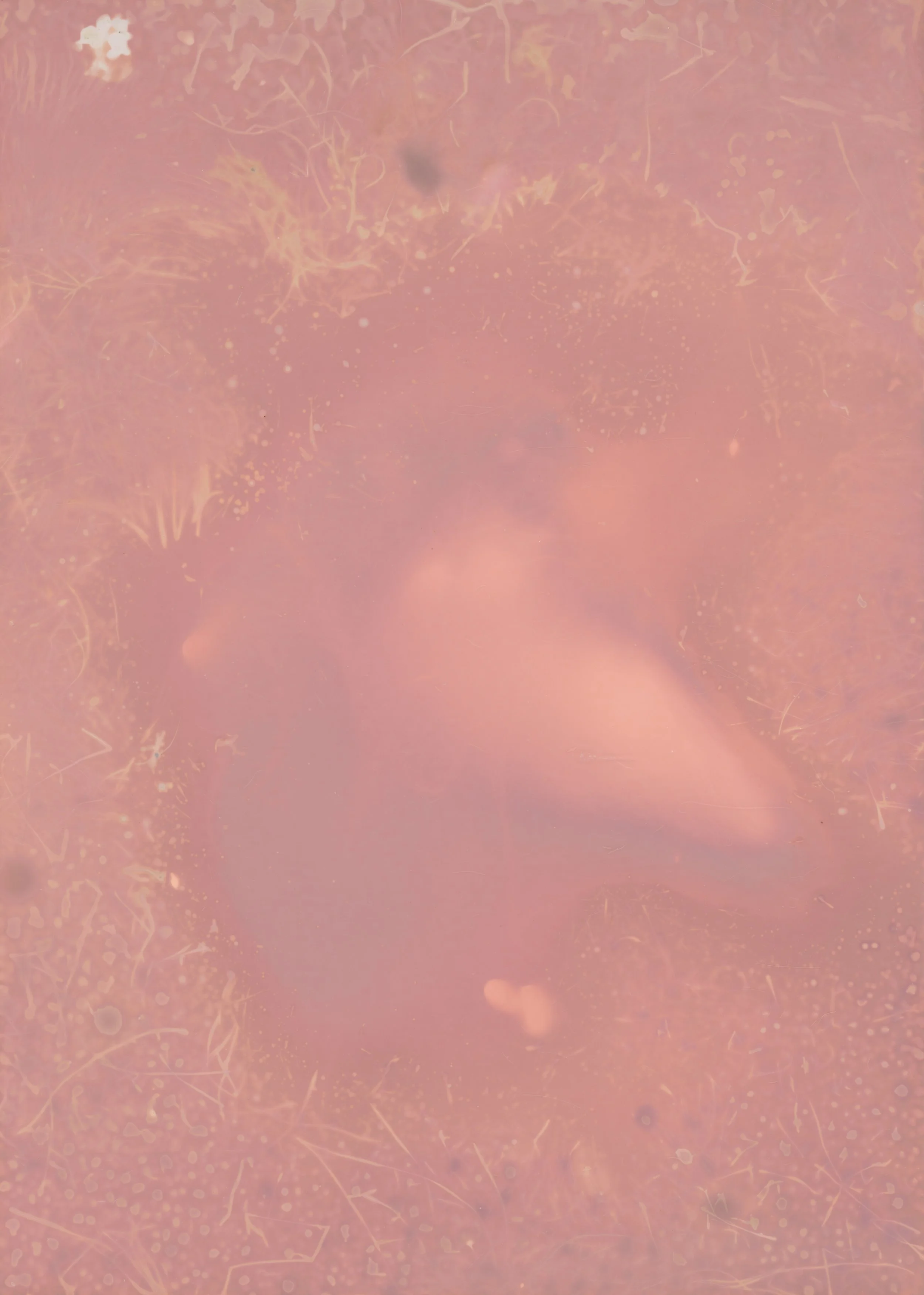 scans20260110_18 copy.jpg