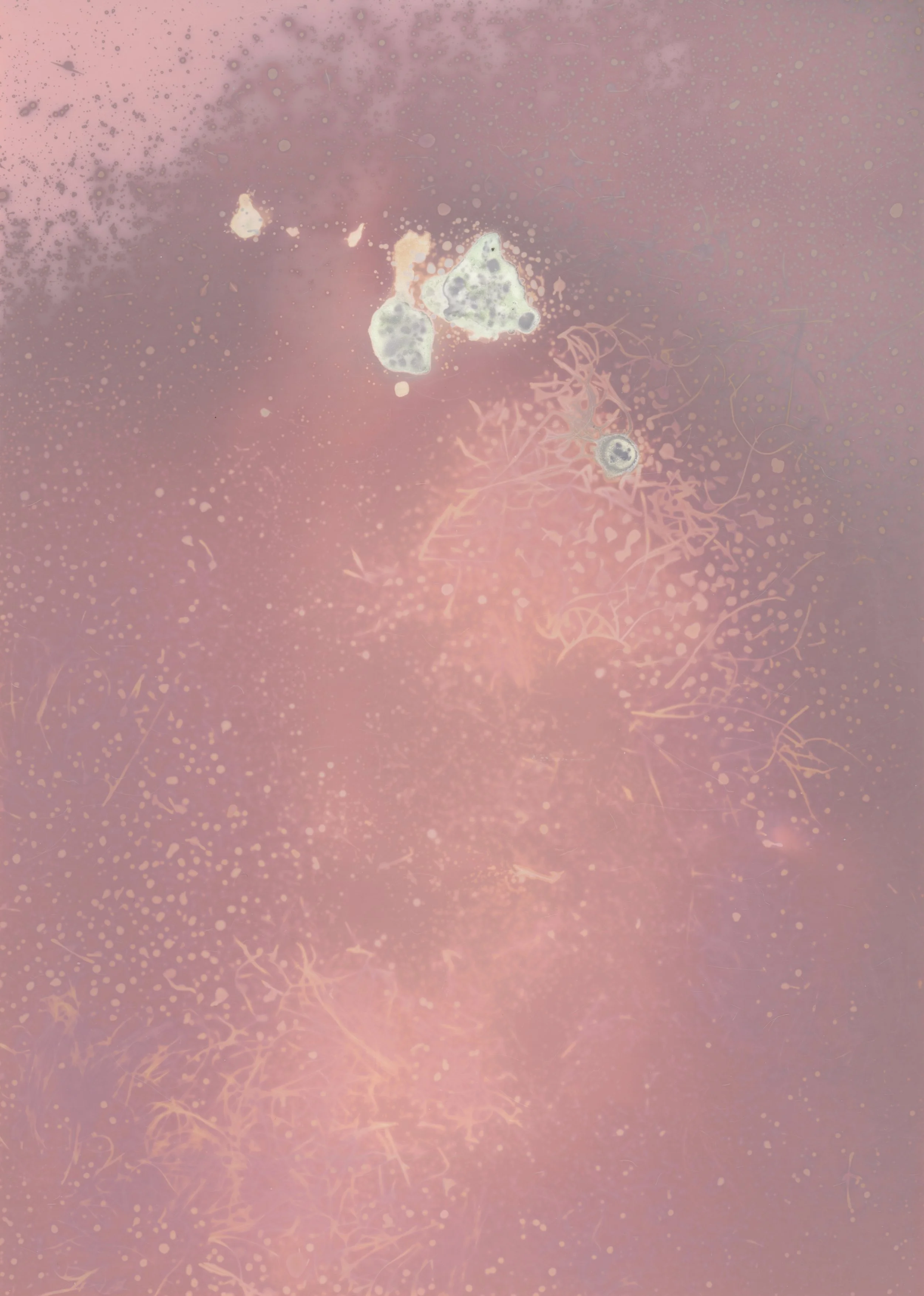 scans20260110_21 copy.jpg