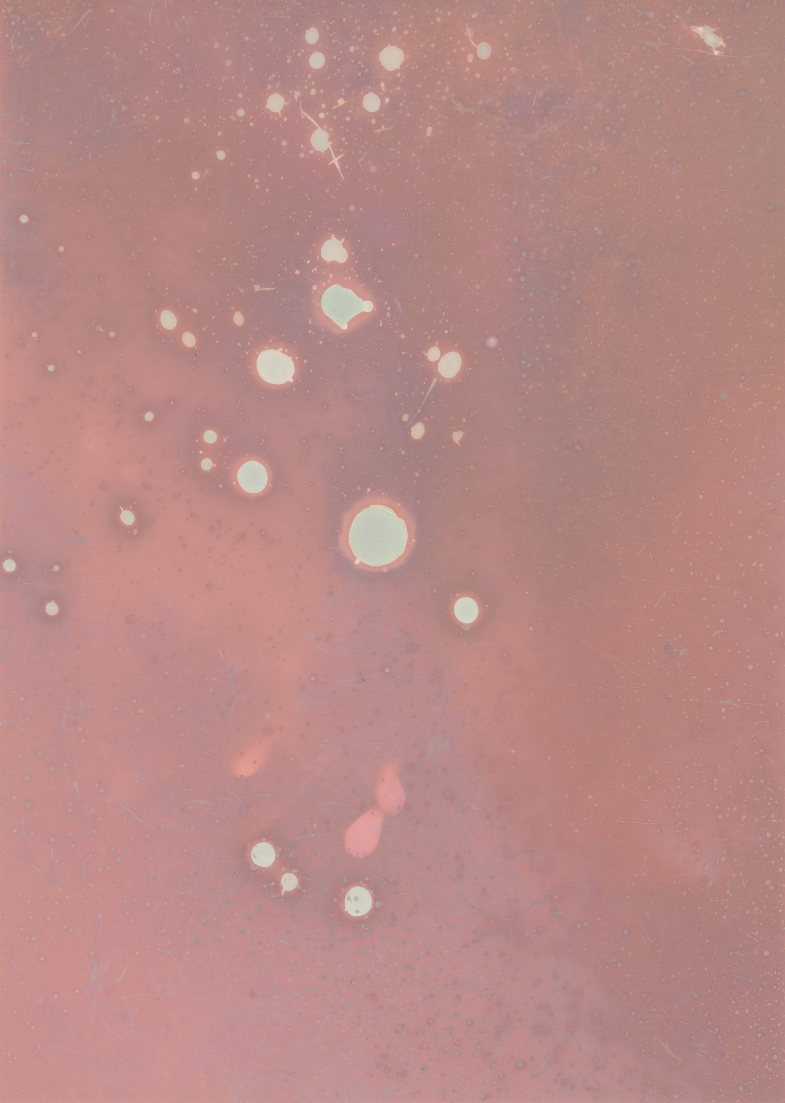 scans20260110_24 copy.jpg