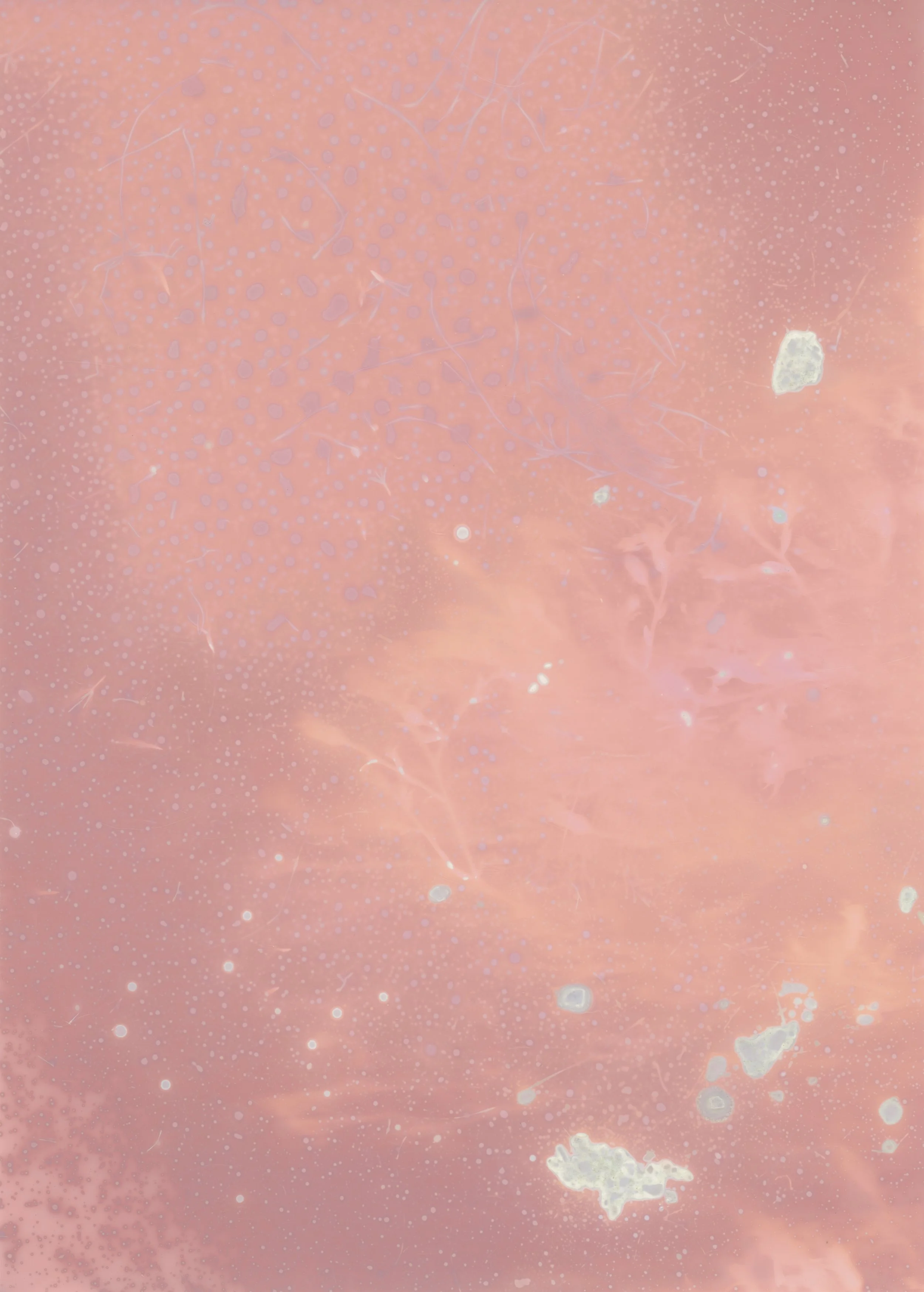 scans20260111_25 copy.jpg