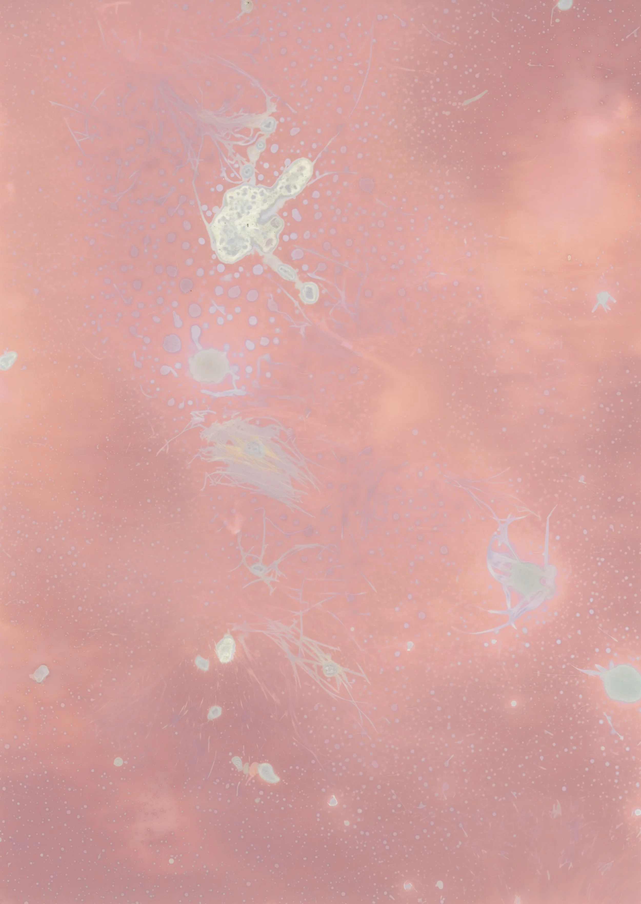 scans20260111_27 copy.jpg