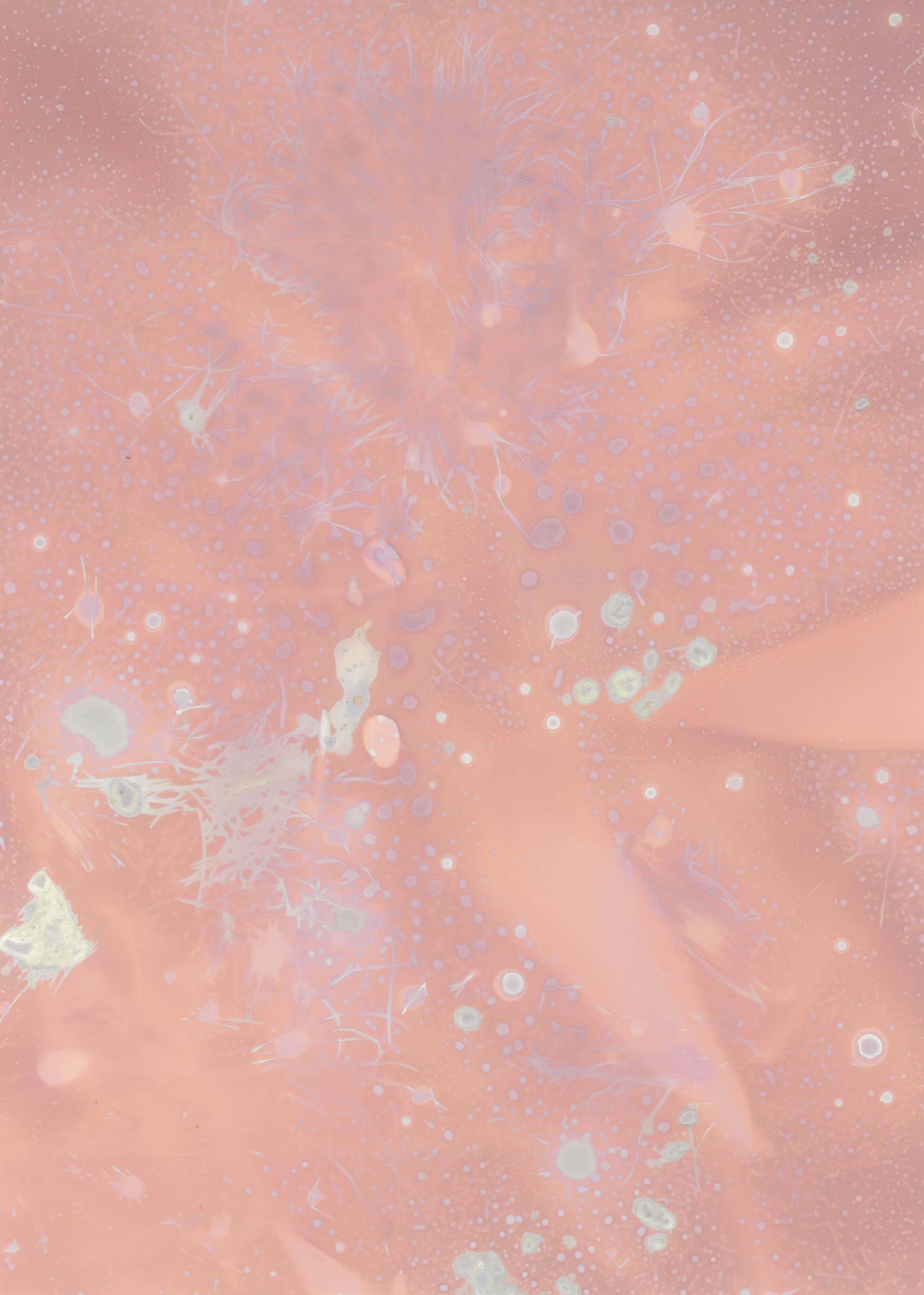 scans20260111_28 copy.jpg