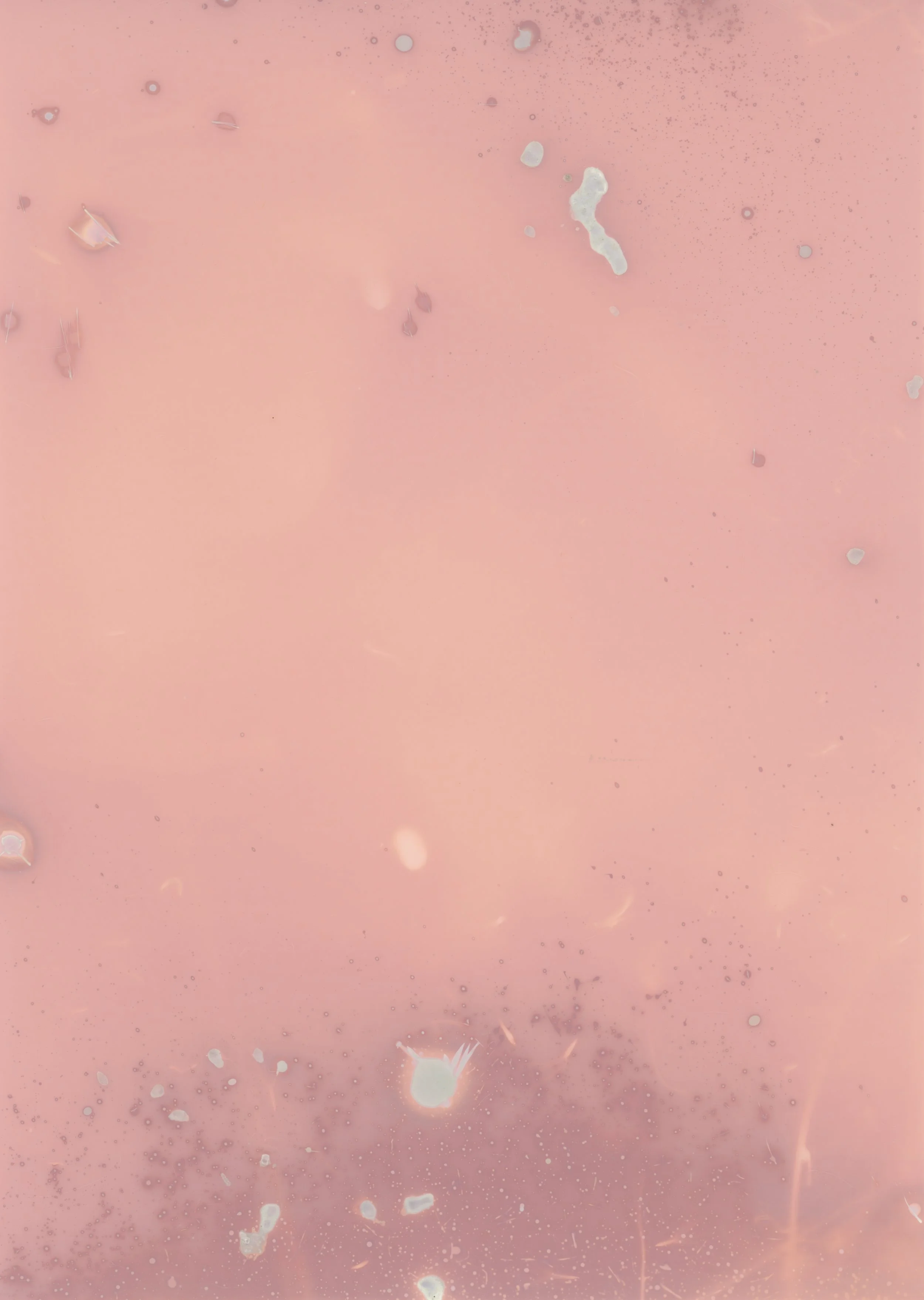 scans20260111_30 copy.jpg