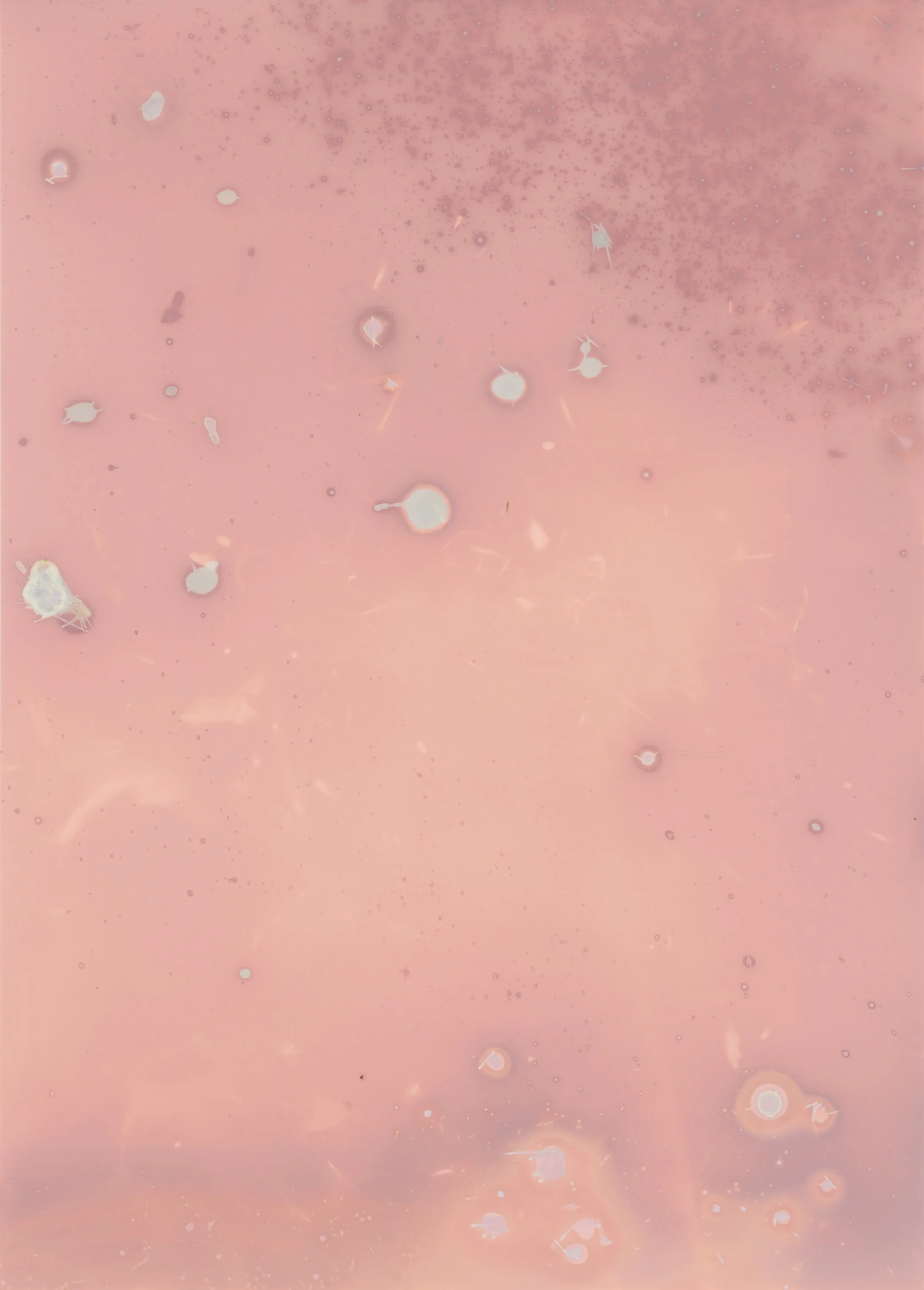 scans20260111_31 copy.jpg