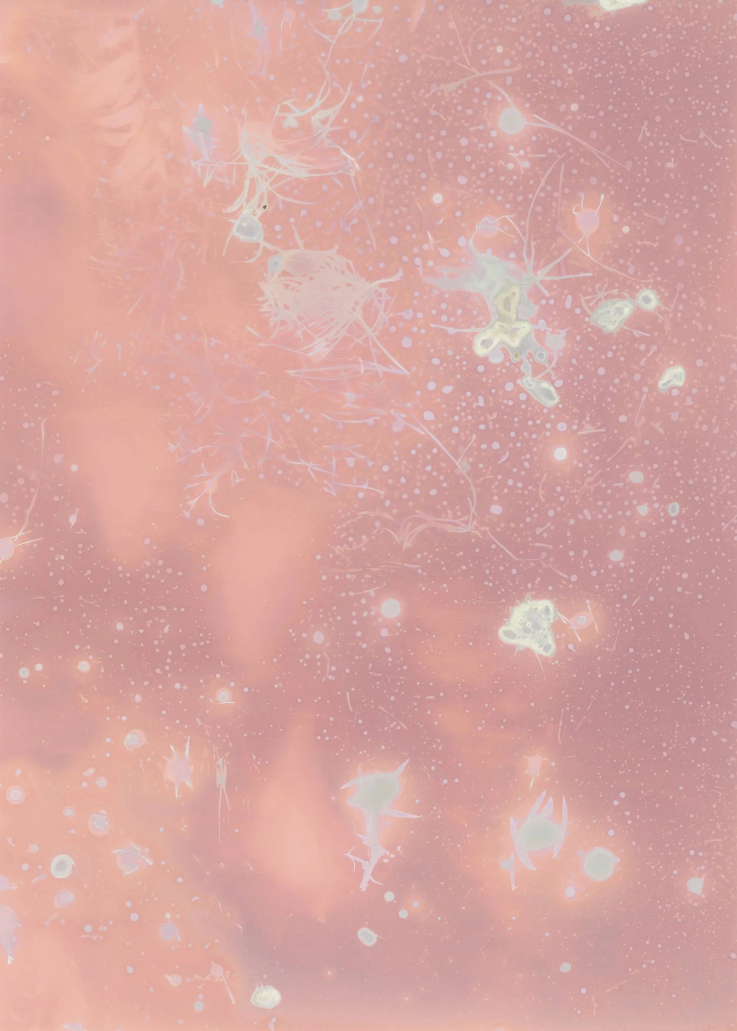 scans20260111_32 copy.jpg