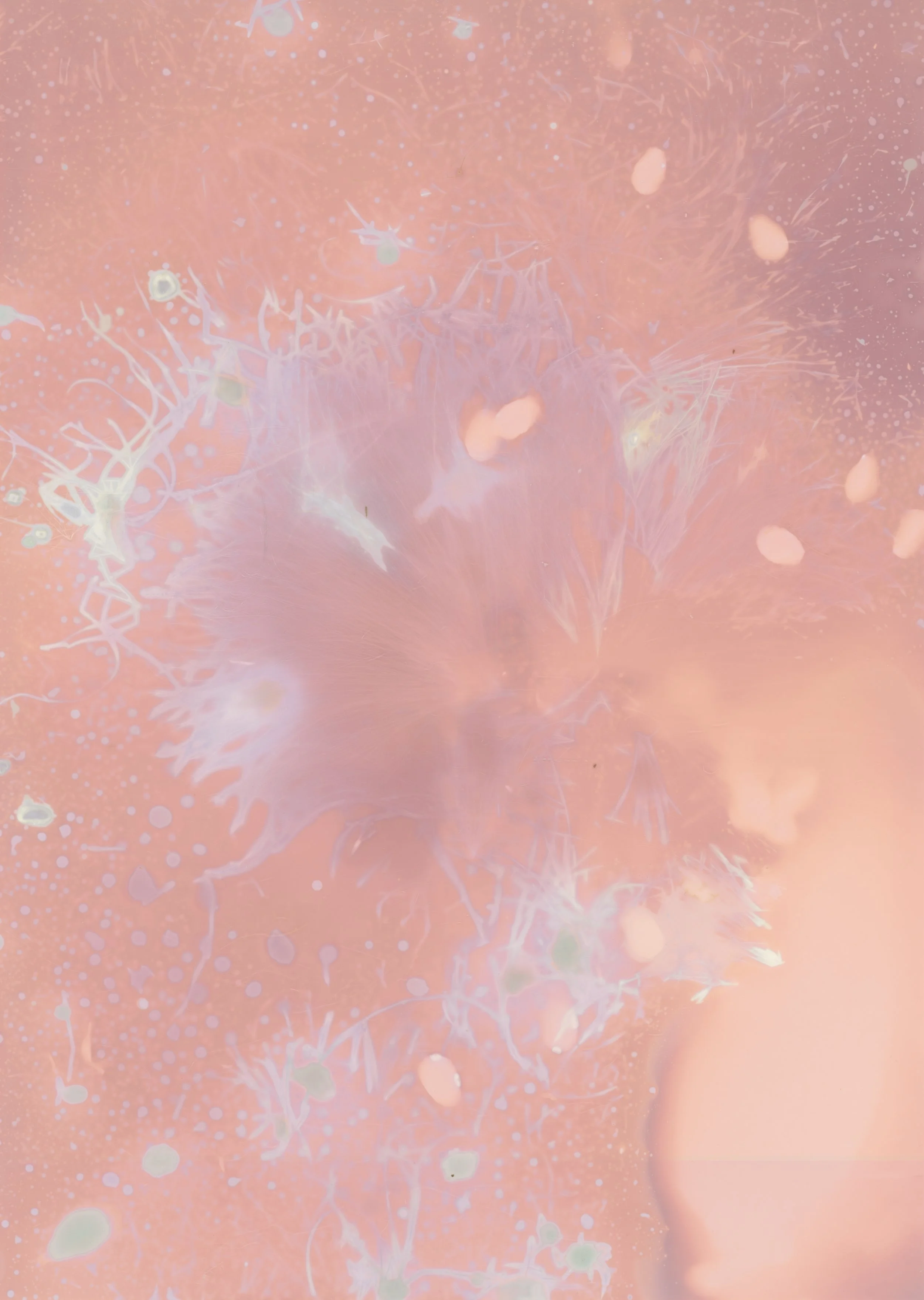 scans20260111_35 copy.jpg