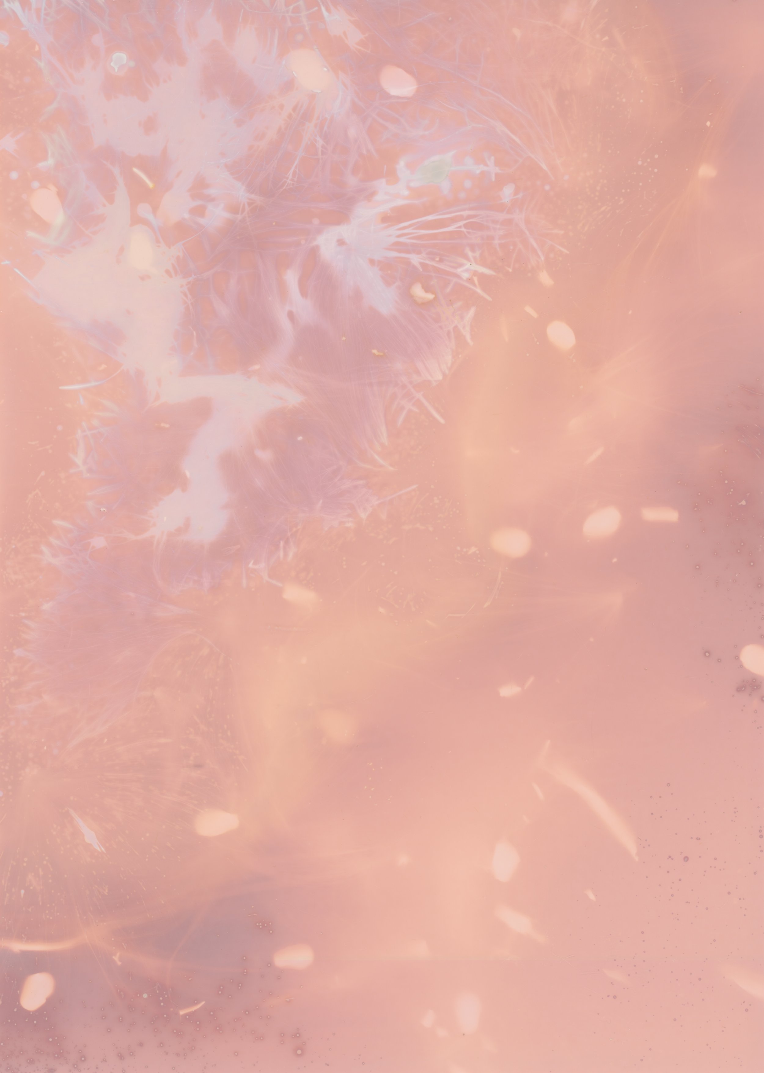 scans20260111_36 copy.jpg