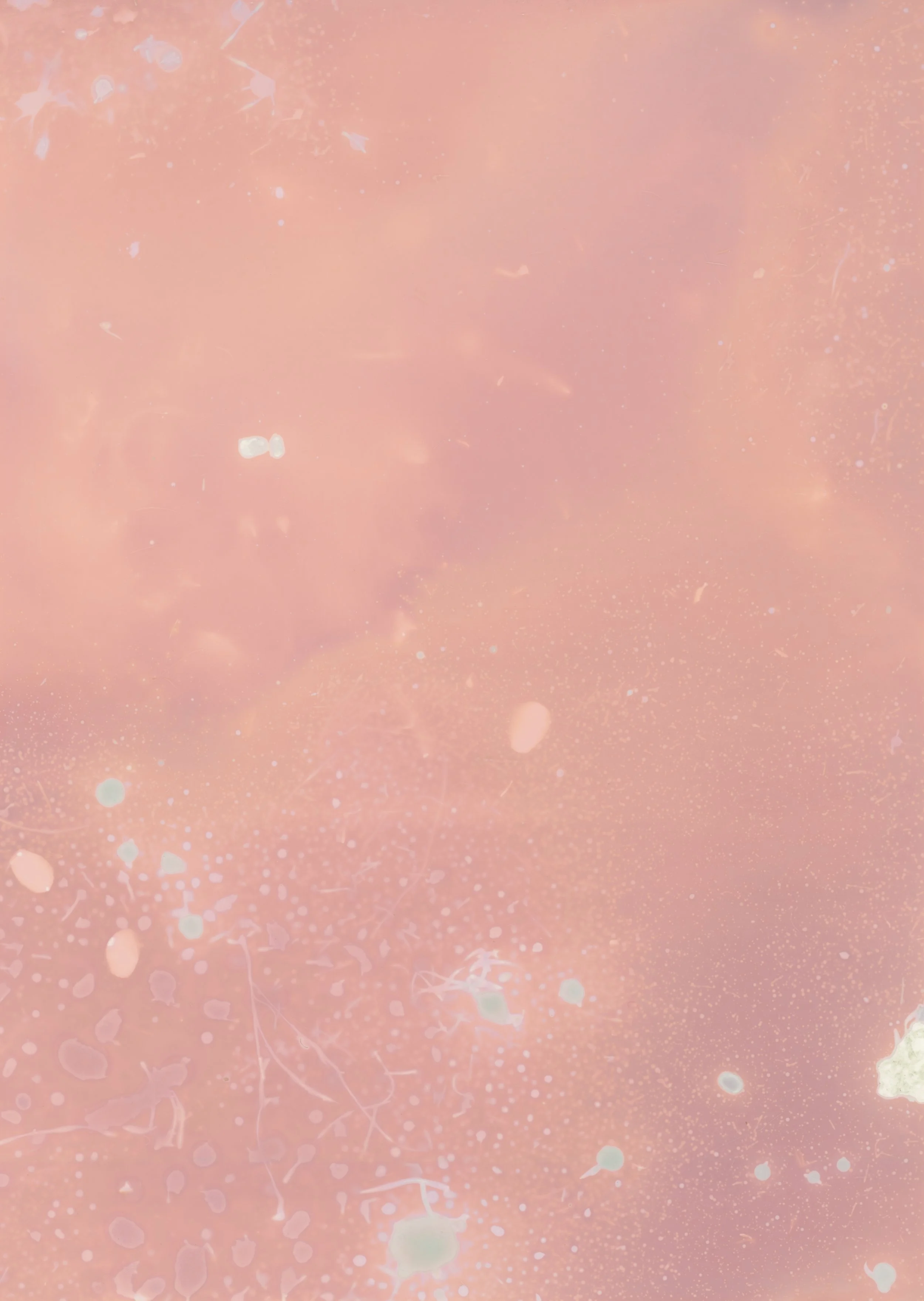 scans20260111_38 copy.jpg