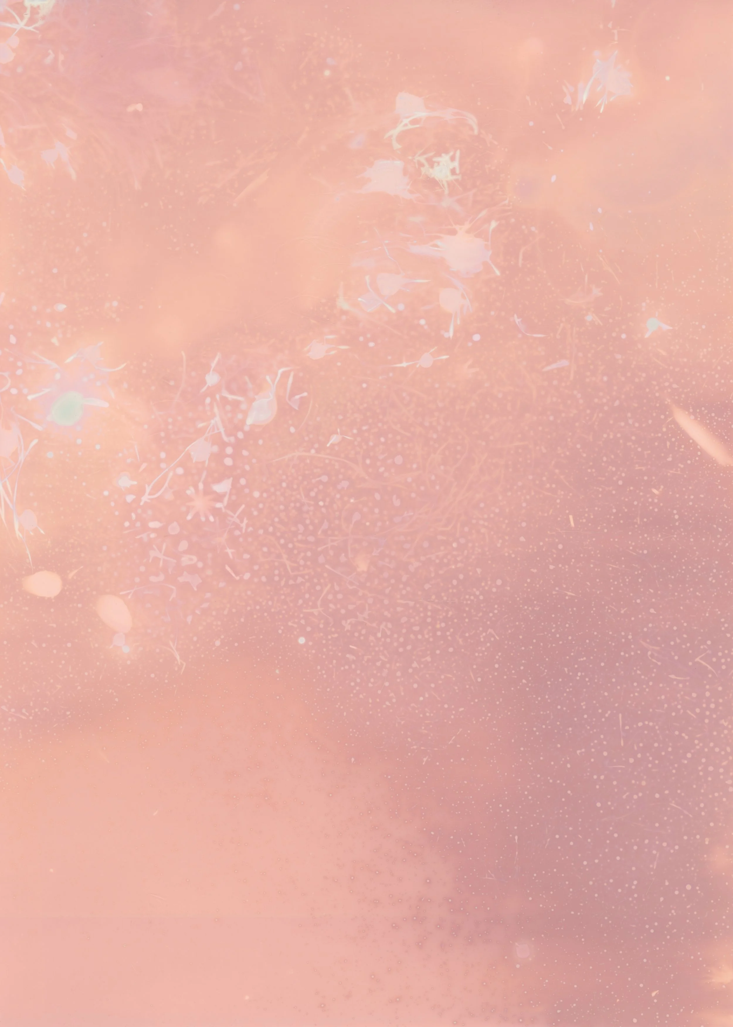 scans20260111_39 copy.jpg