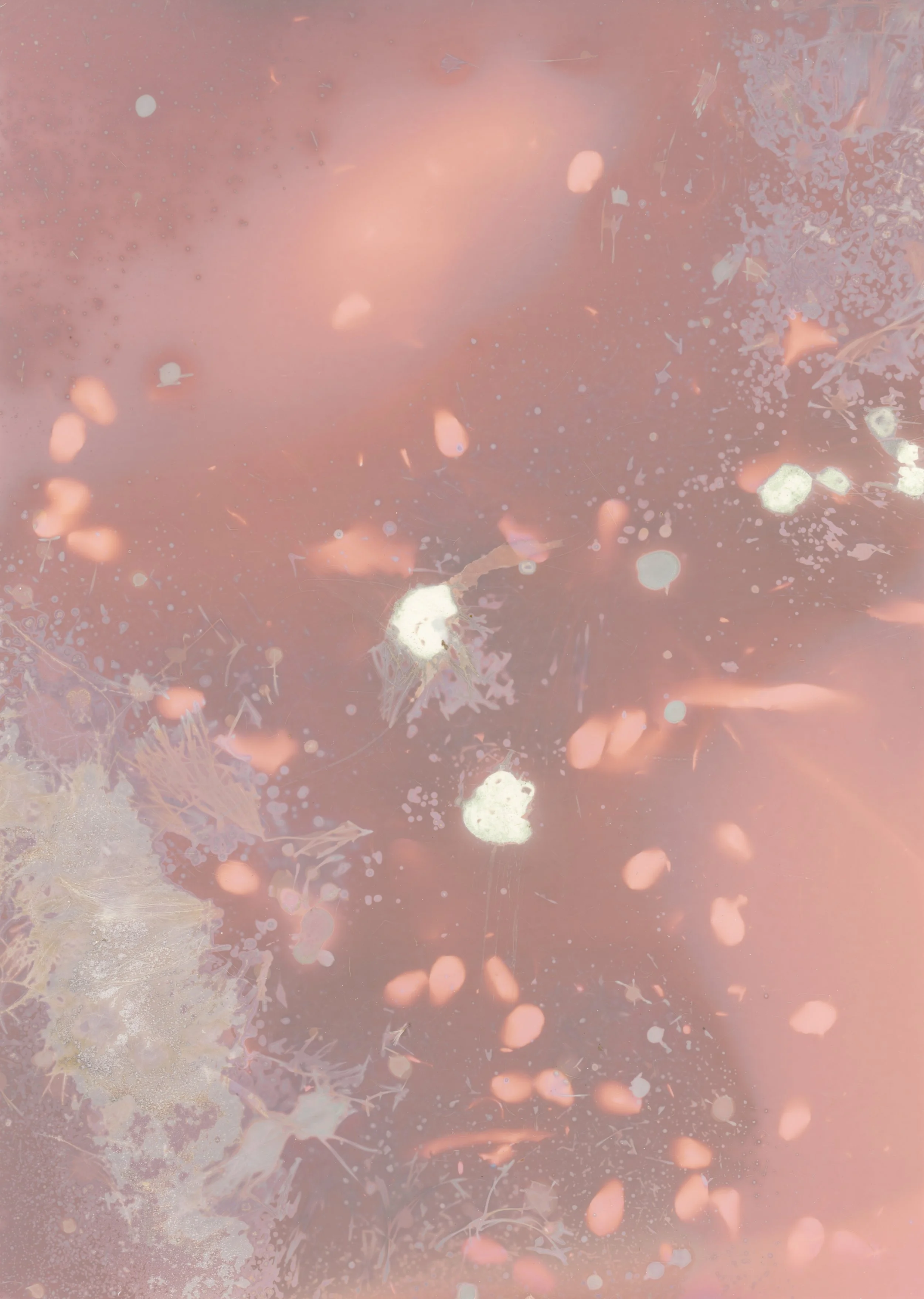 scans20260112_41 copy.jpg