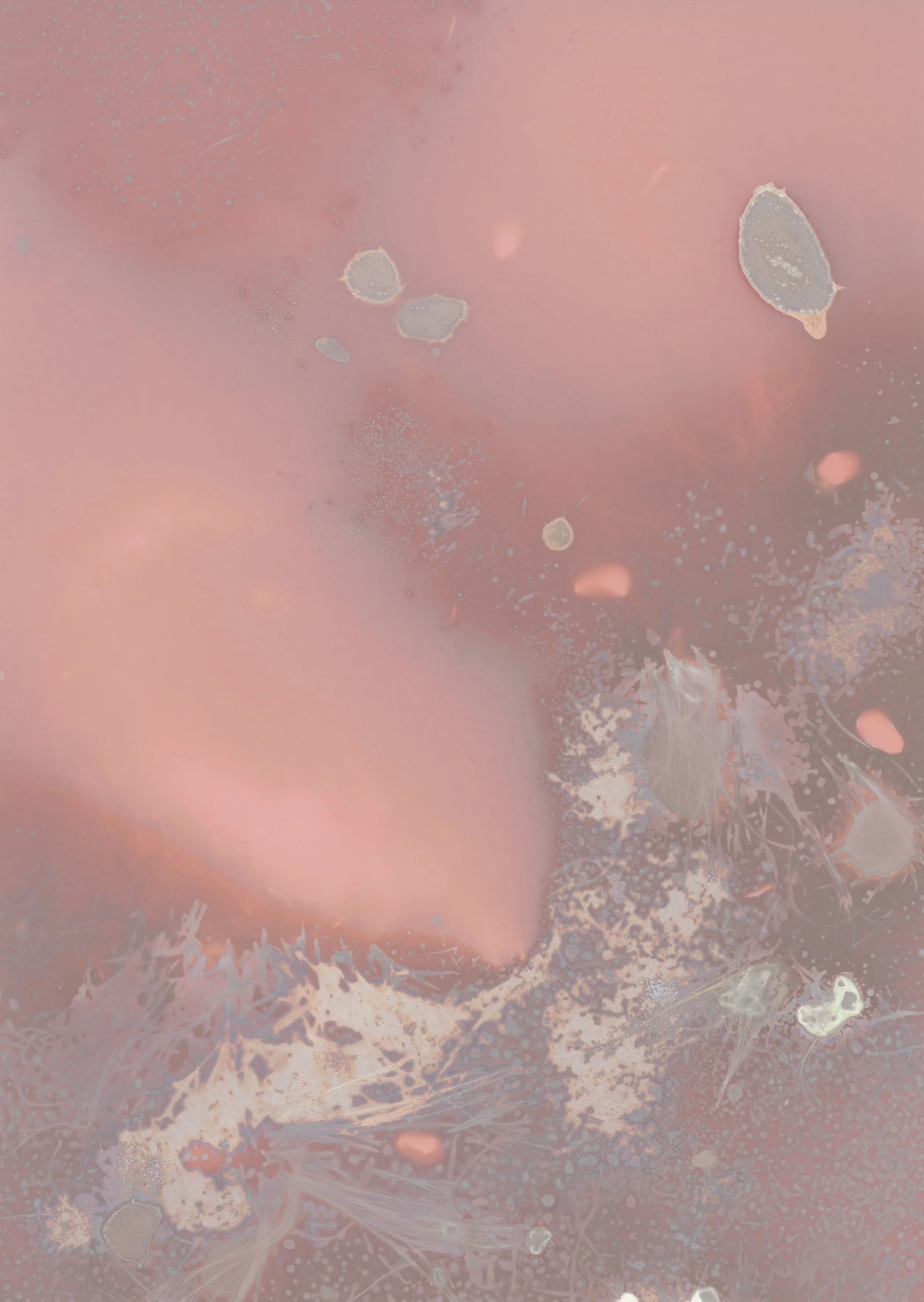 scans20260112_43 copy.jpg