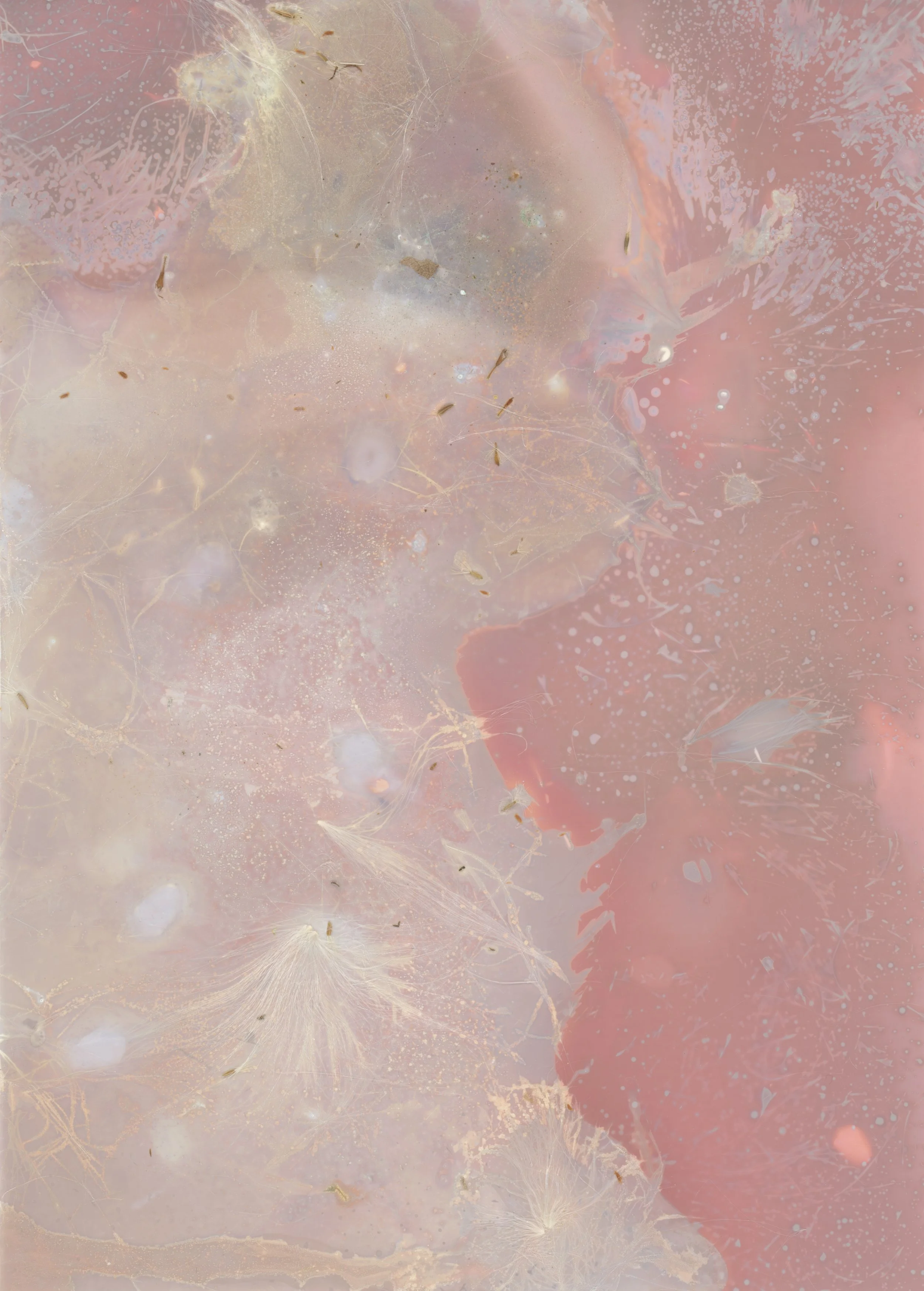 scans20260112_44 copy.jpg