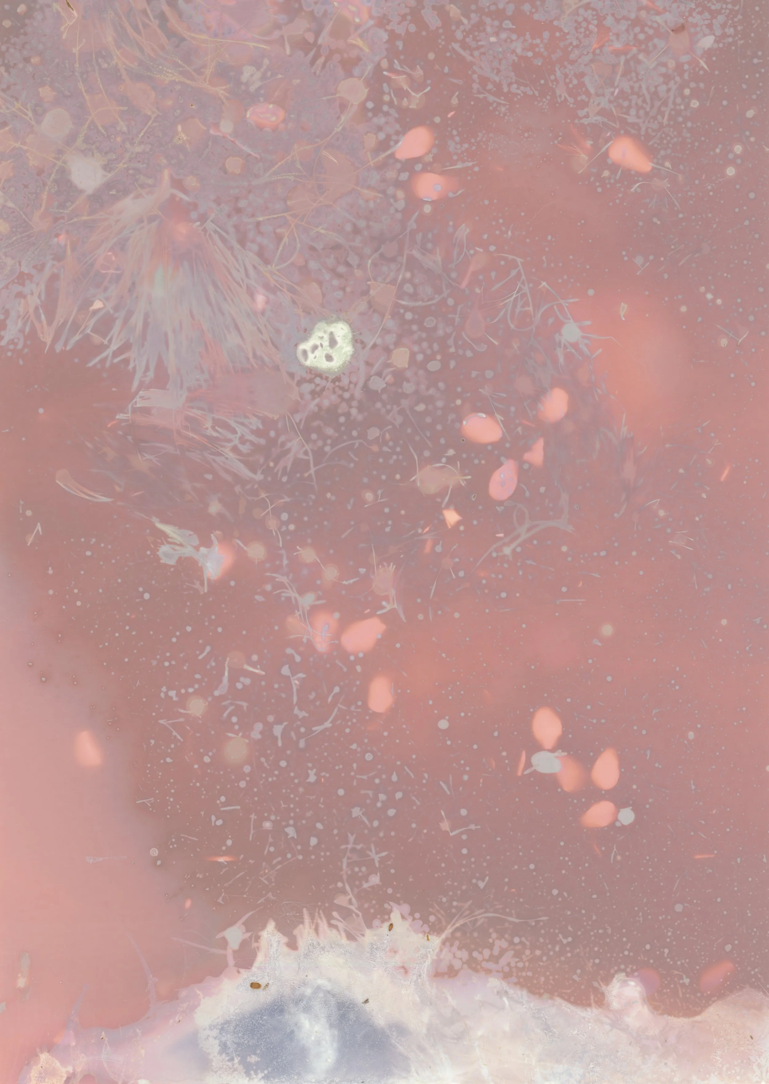 scans20260112_46 copy.jpg