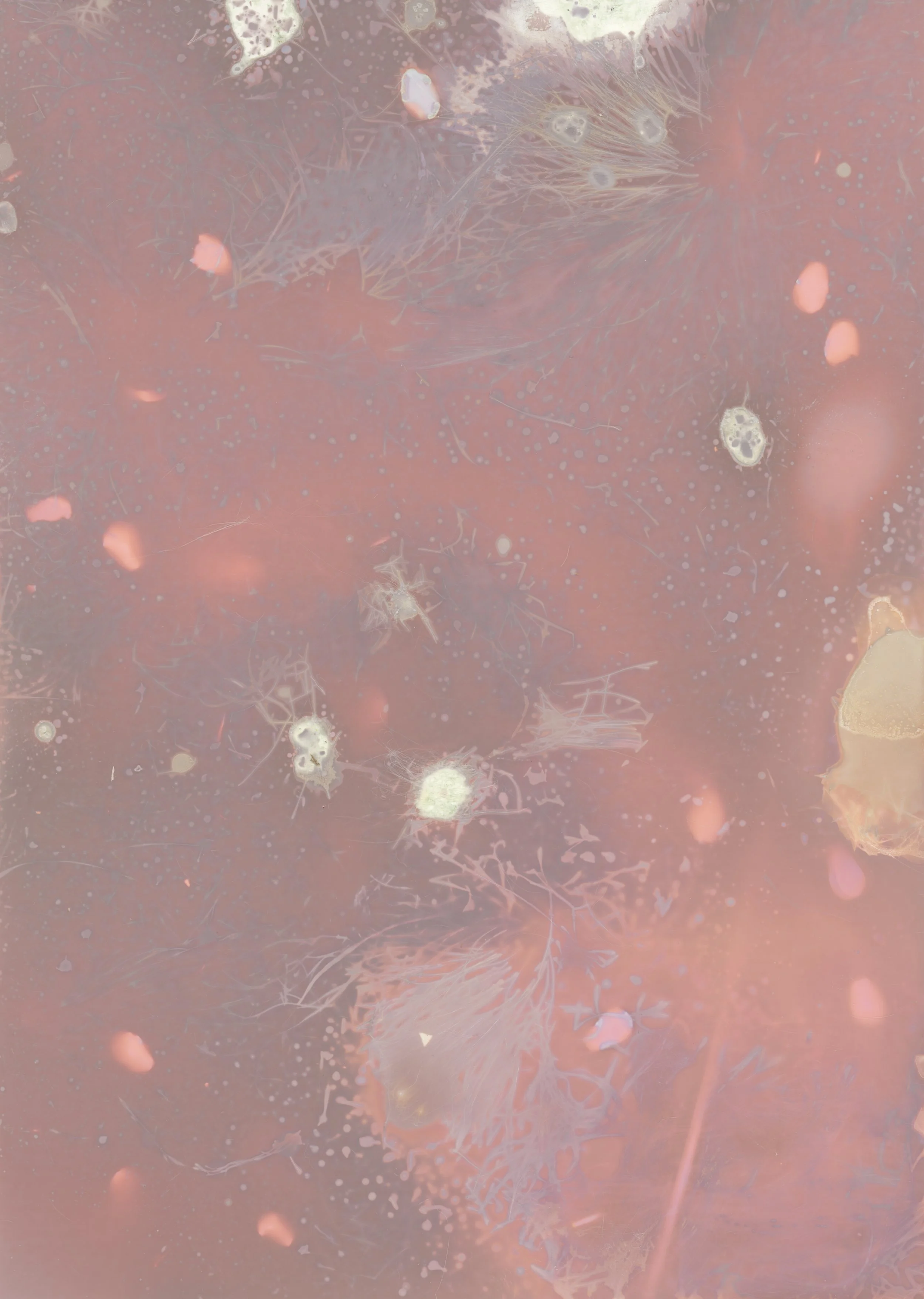 scans20260112_47 copy.jpg