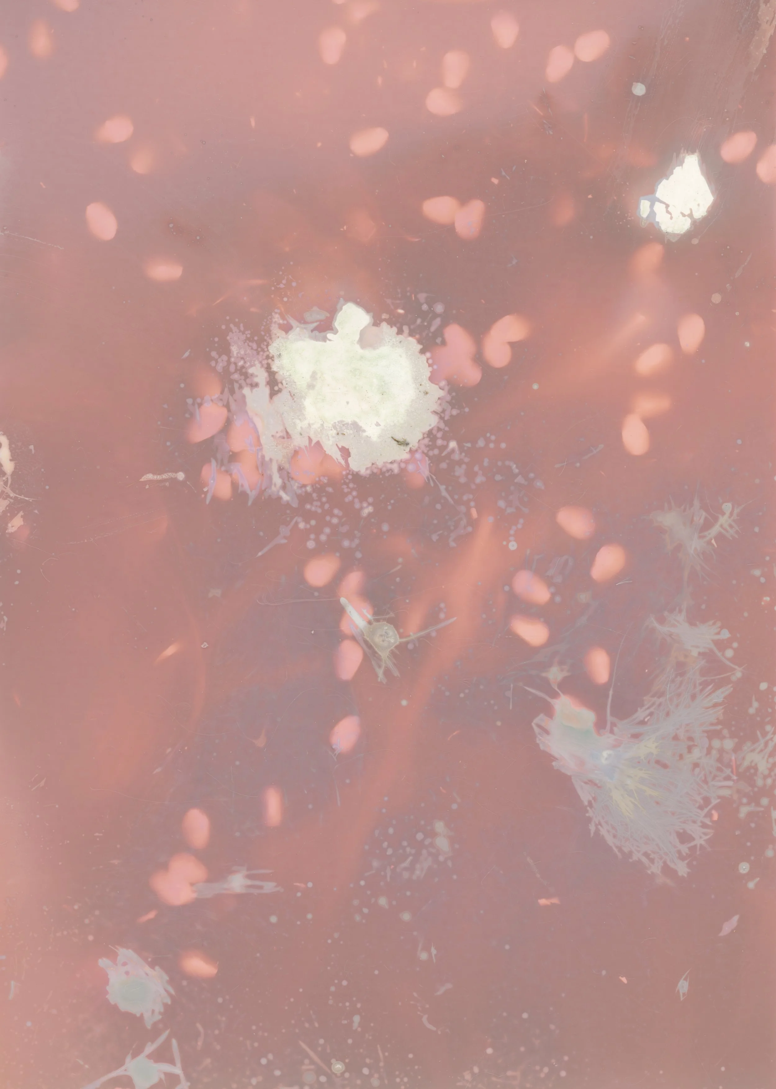 scans20260112_49 copy.jpg