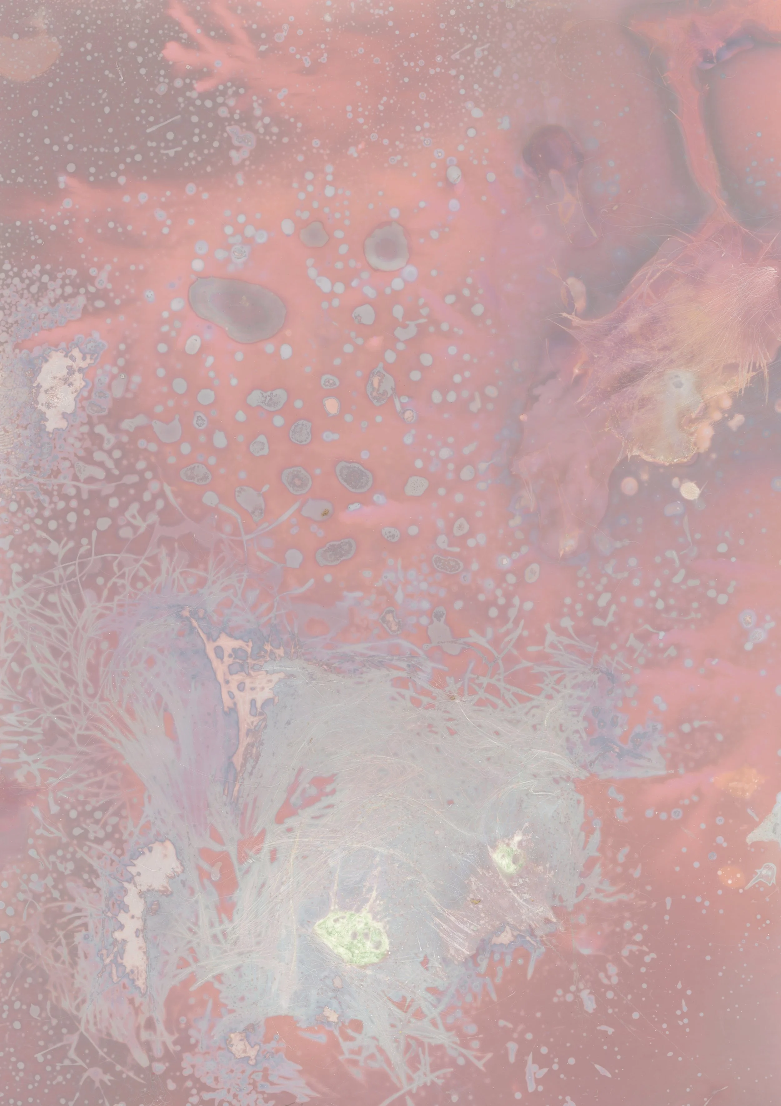 scans20260113 copy.jpg