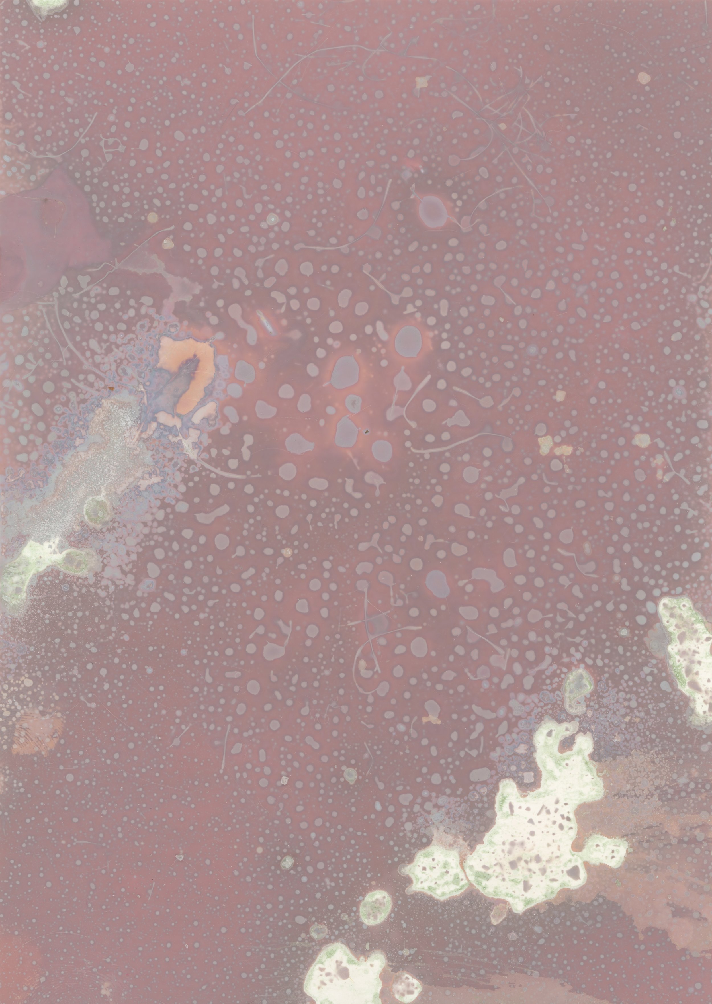 scans20260113_0002 copy.jpg