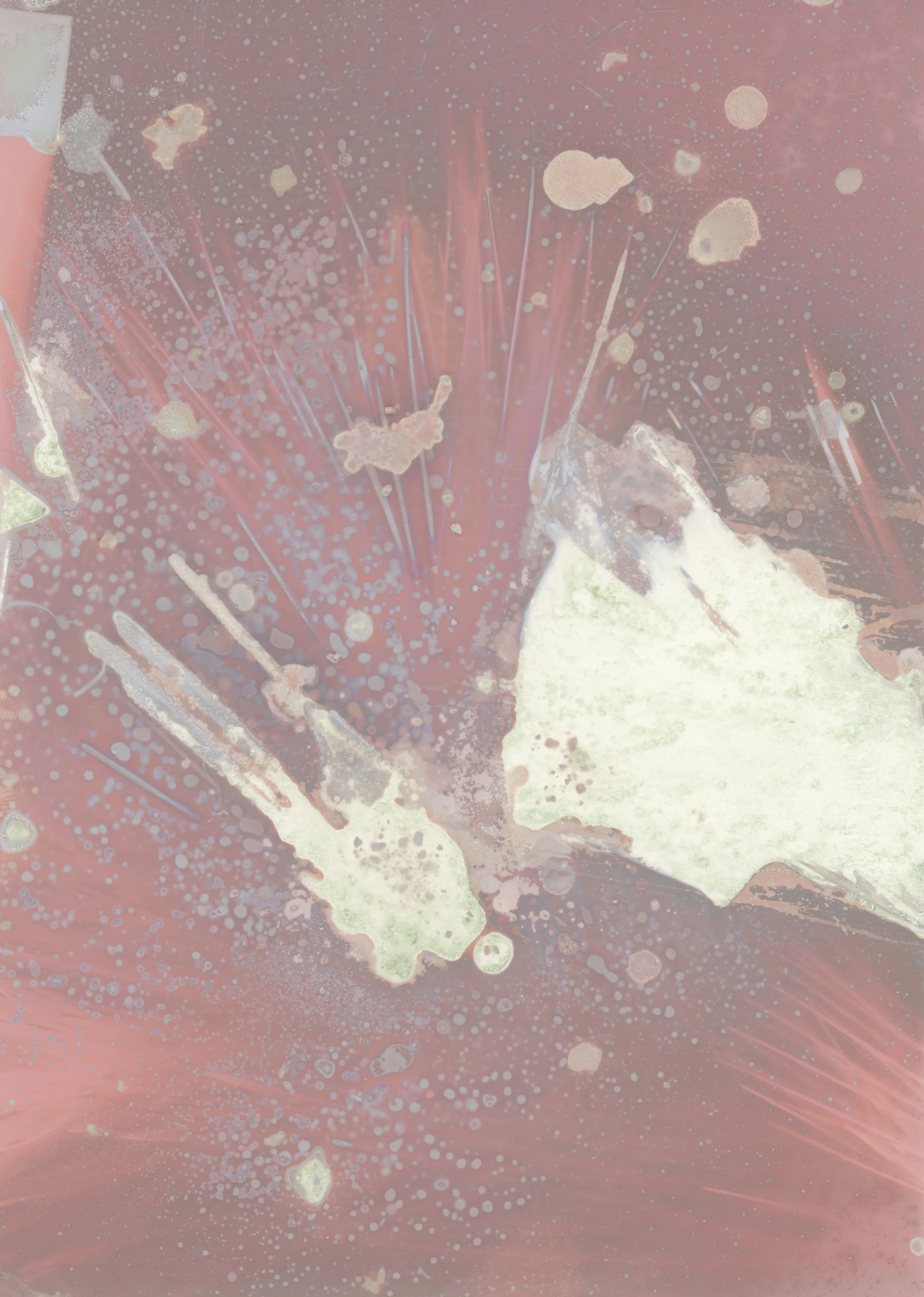 scans20260113_0003 copy.jpg