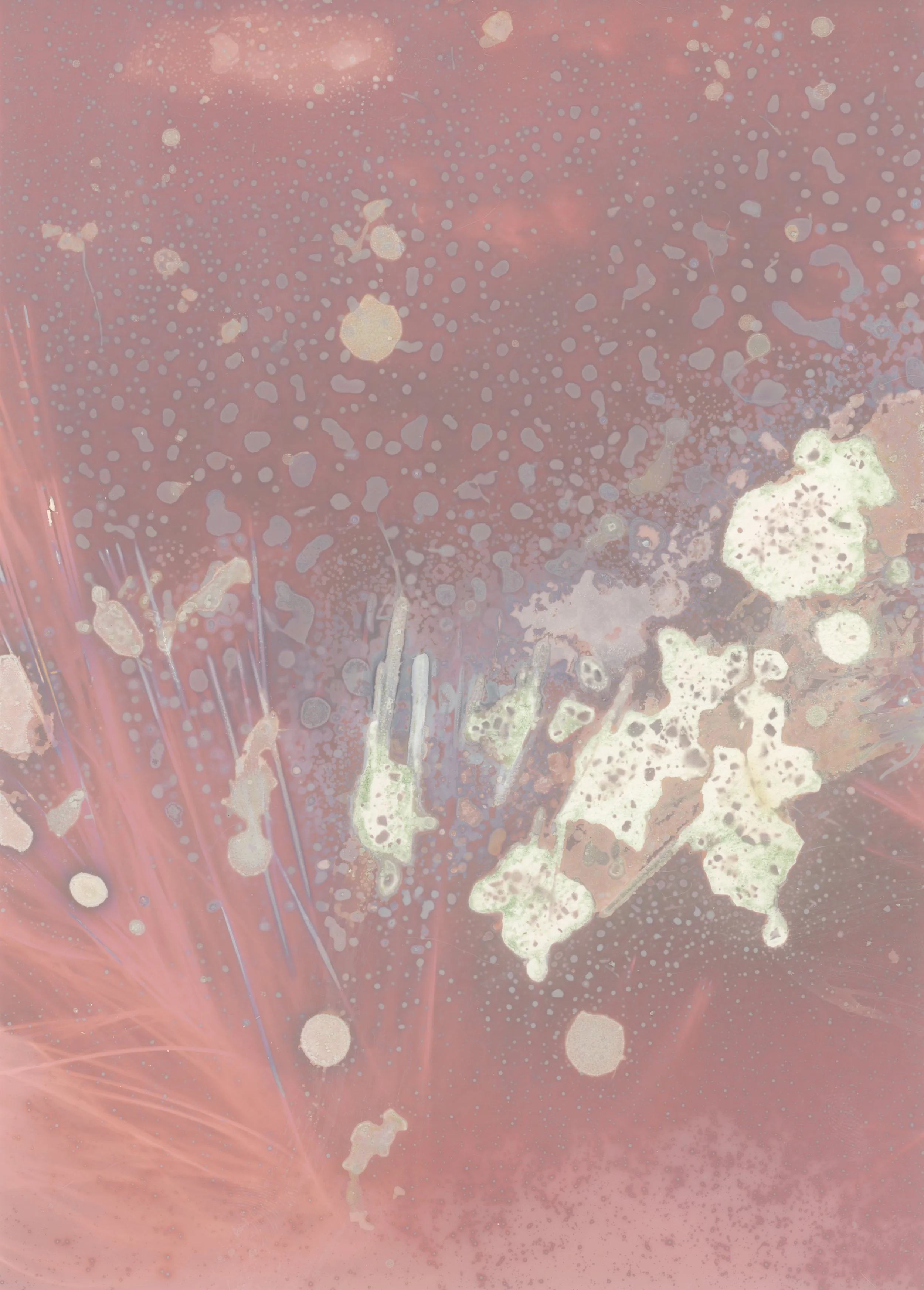 scans20260113_0004 copy.jpg