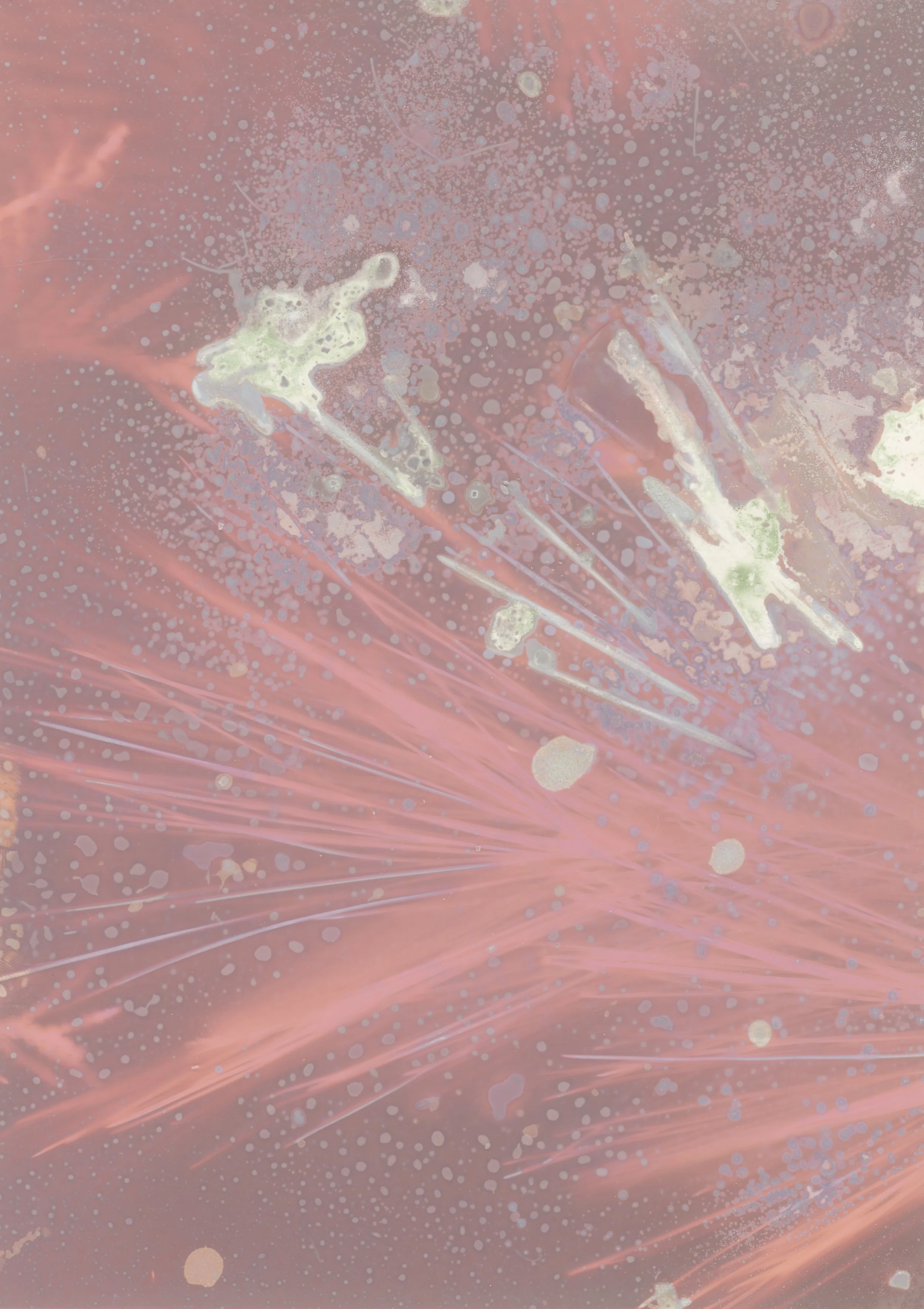 scans20260113_0007 copy.jpg