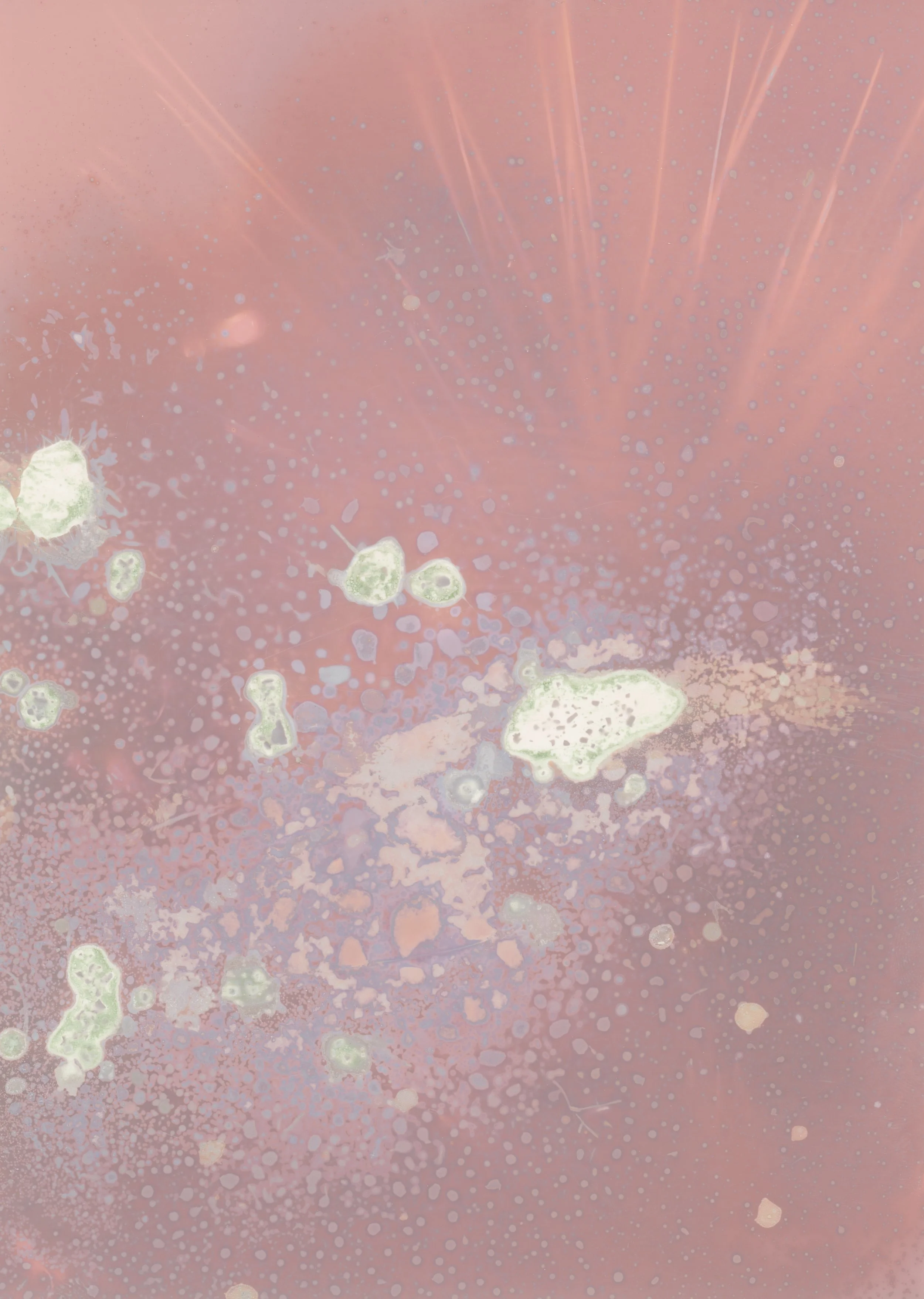 scans20260113_0009 copy.jpg