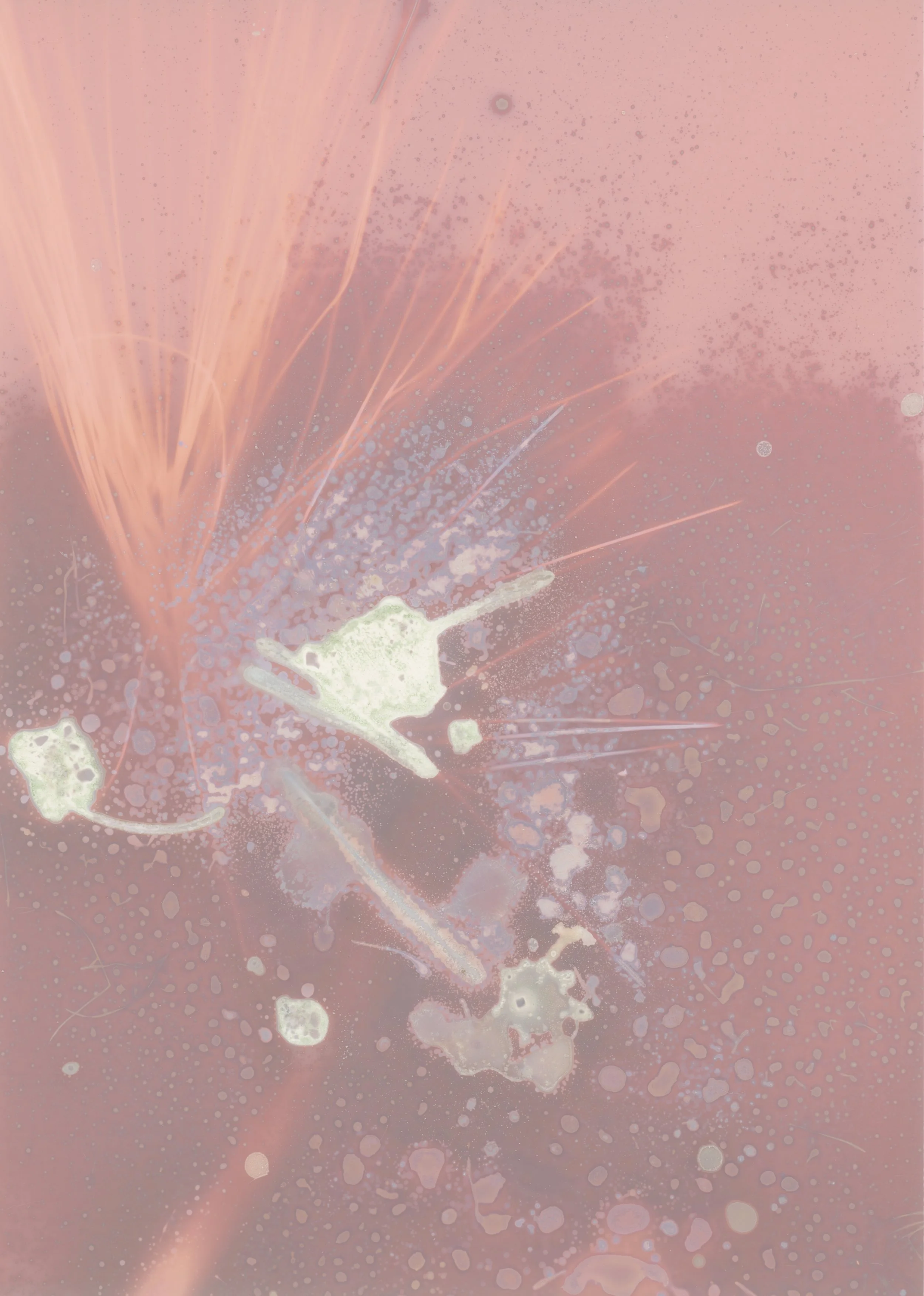 scans20260113_0010 copy.jpg