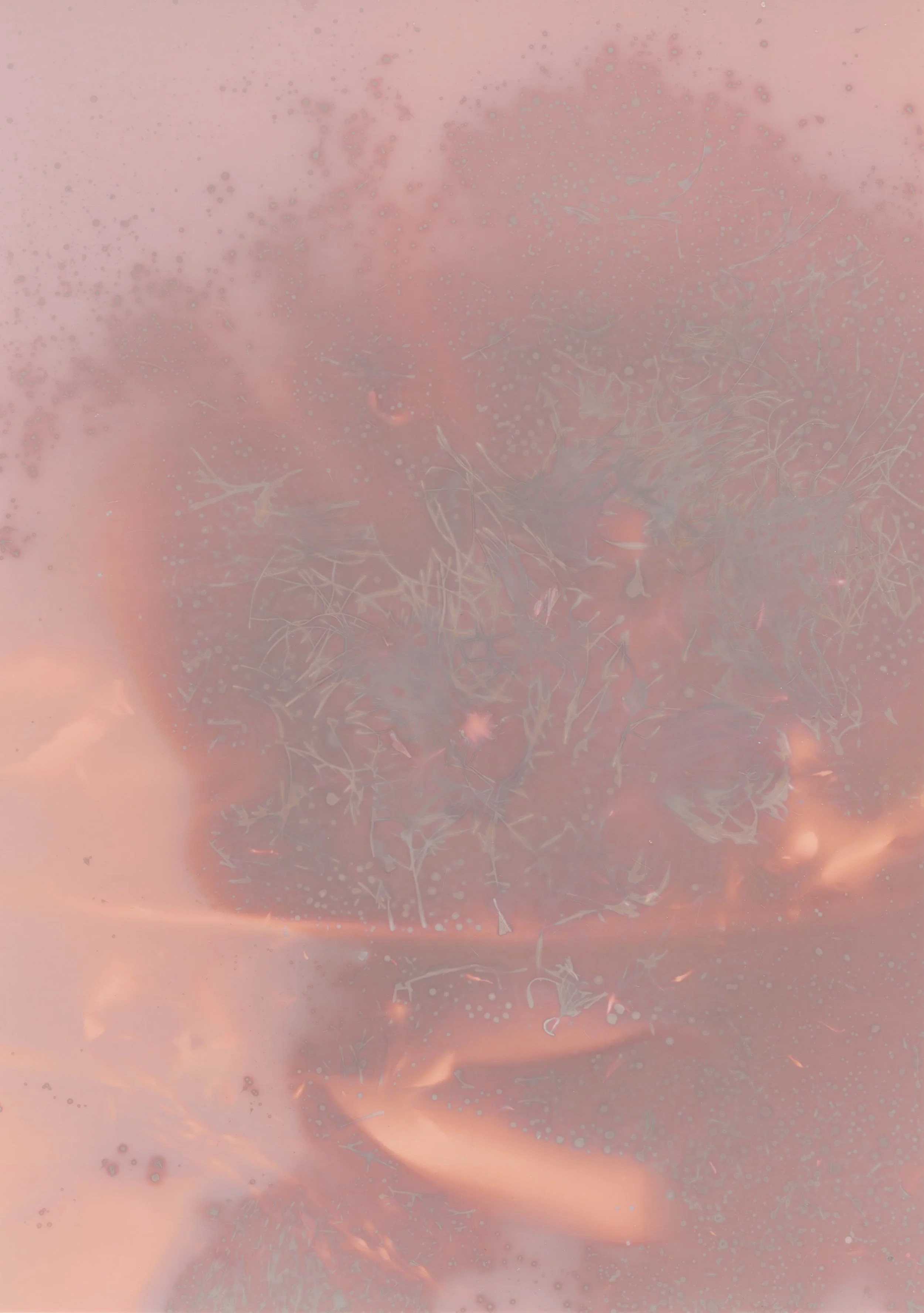 scans20260113_0013 copy.jpg