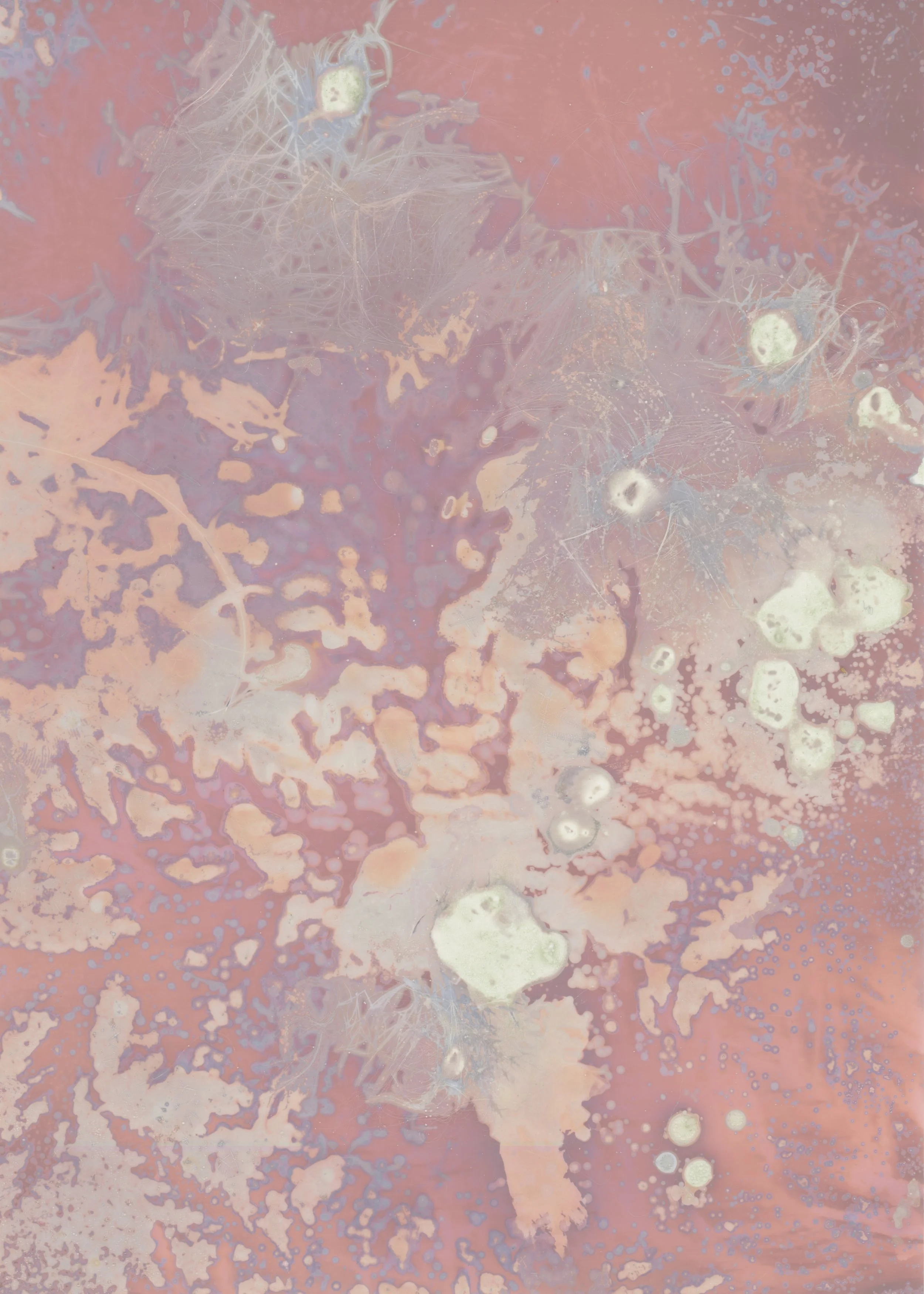 scans20260114_15092655 copy.jpg