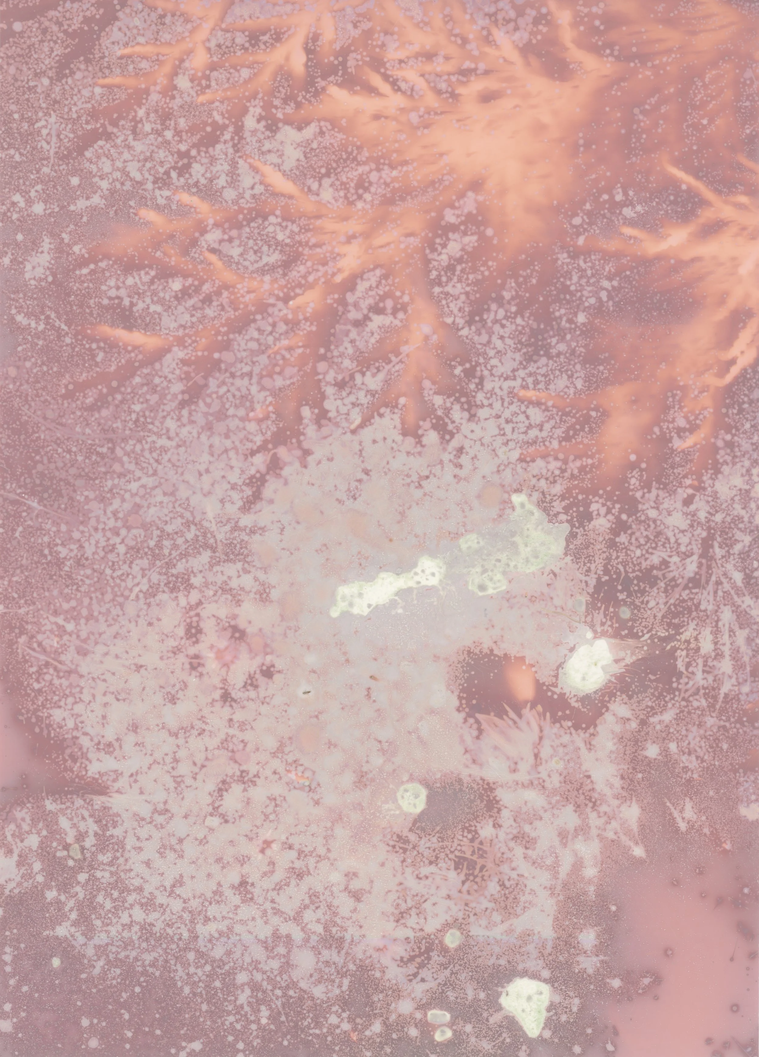 scans20260114_15124748 copy.jpg