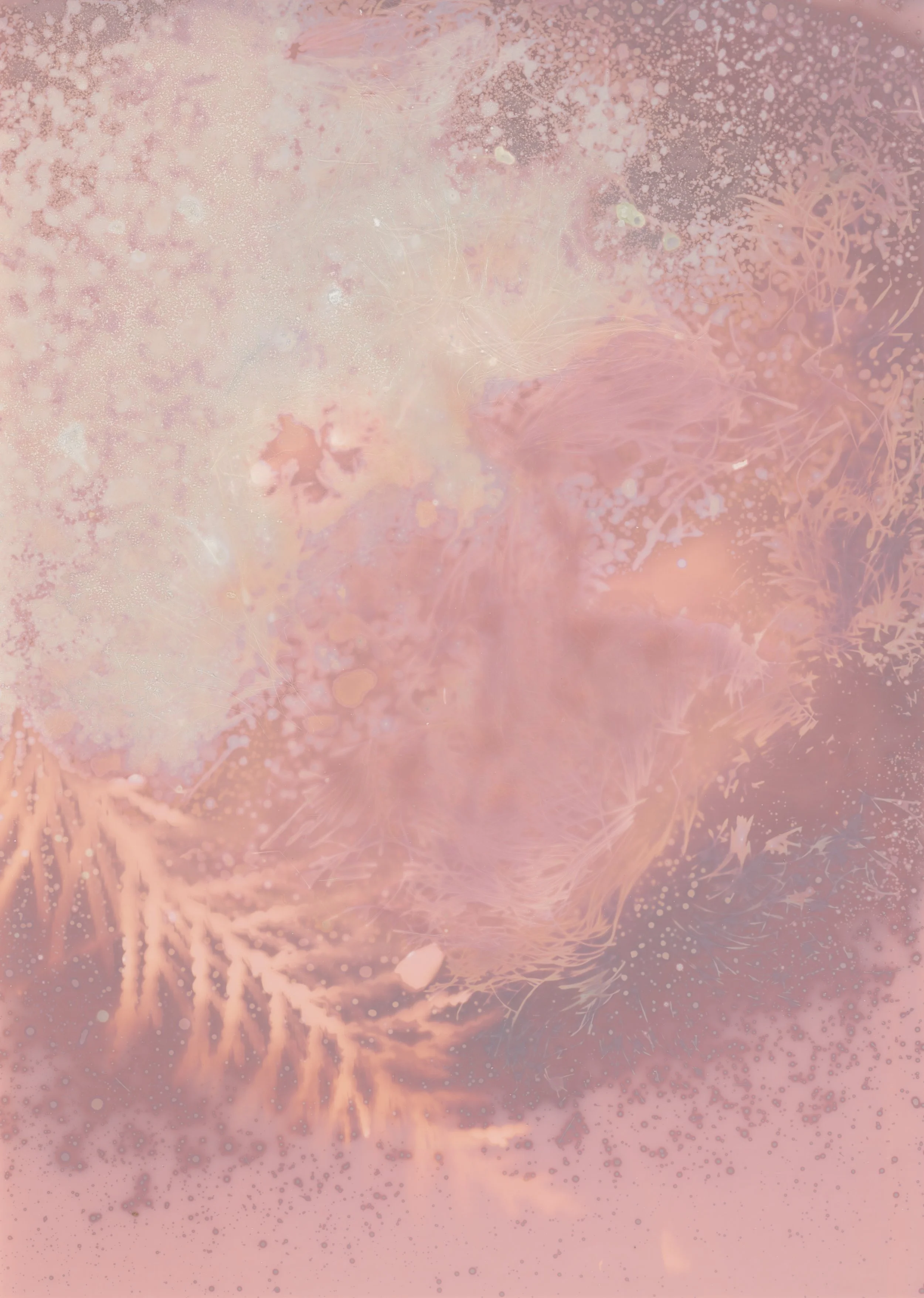 scans20260114_15141609 copy.jpg