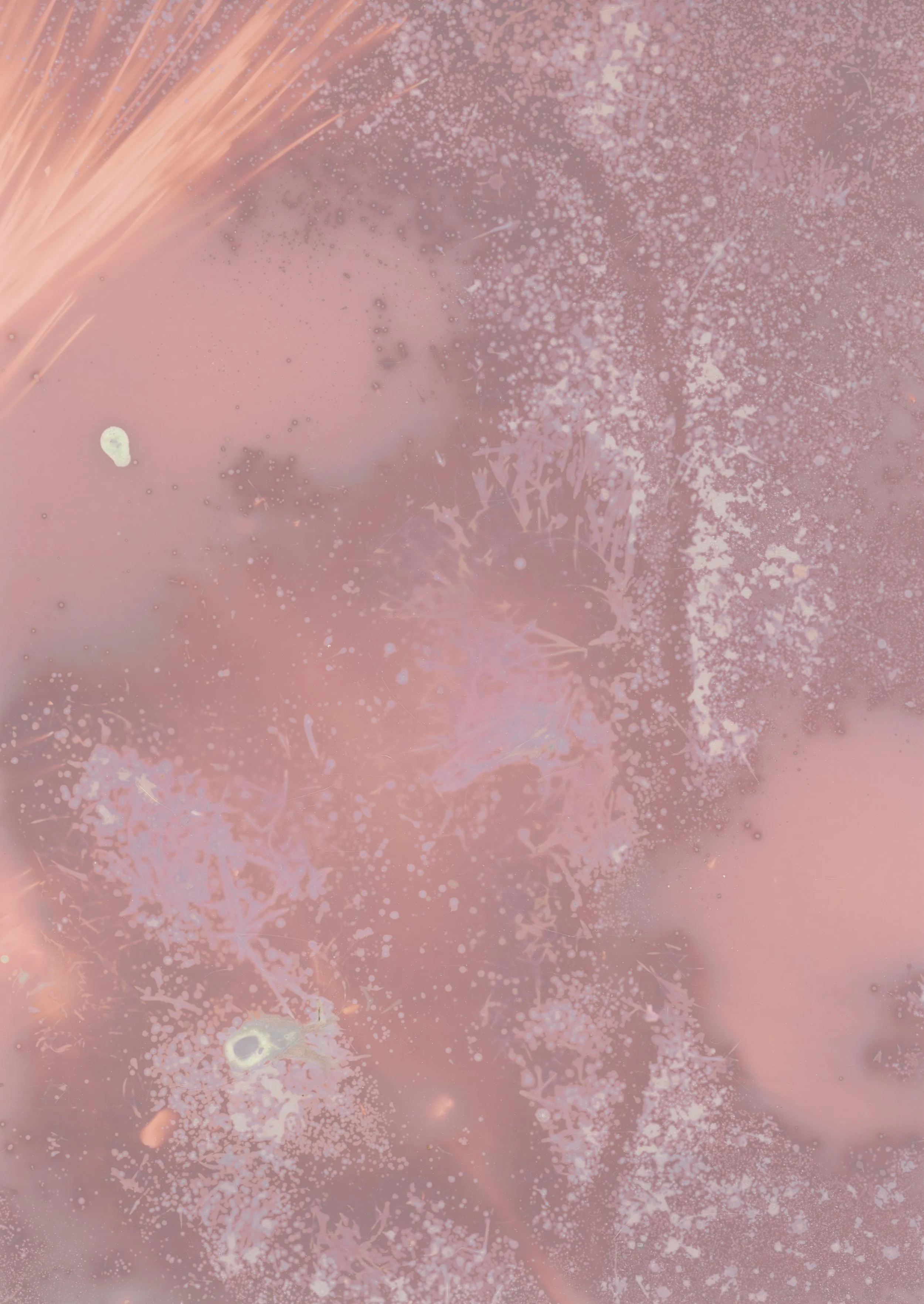 scans20260114_15155556 copy.jpg