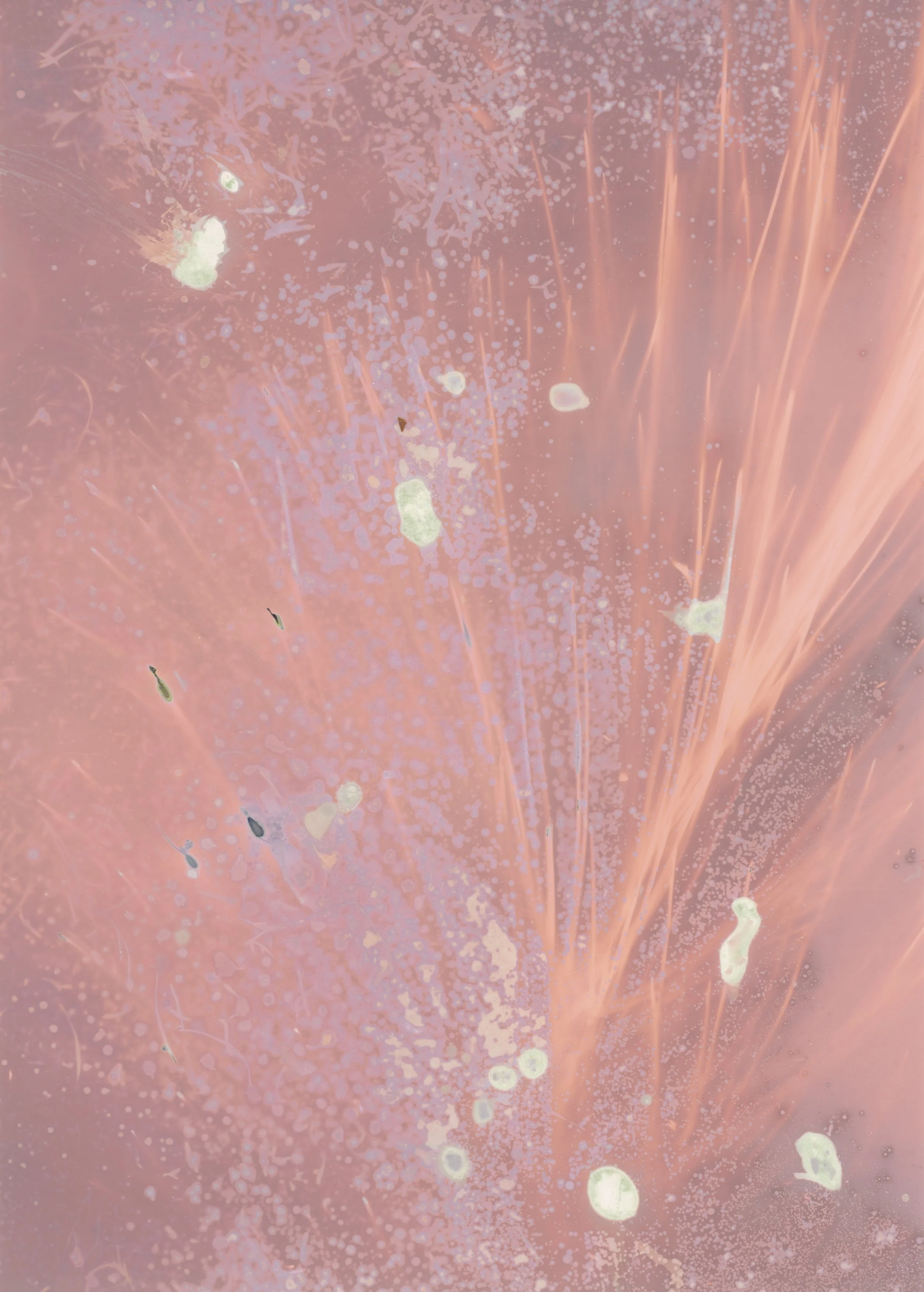 scans20260114_15191040 copy.jpg