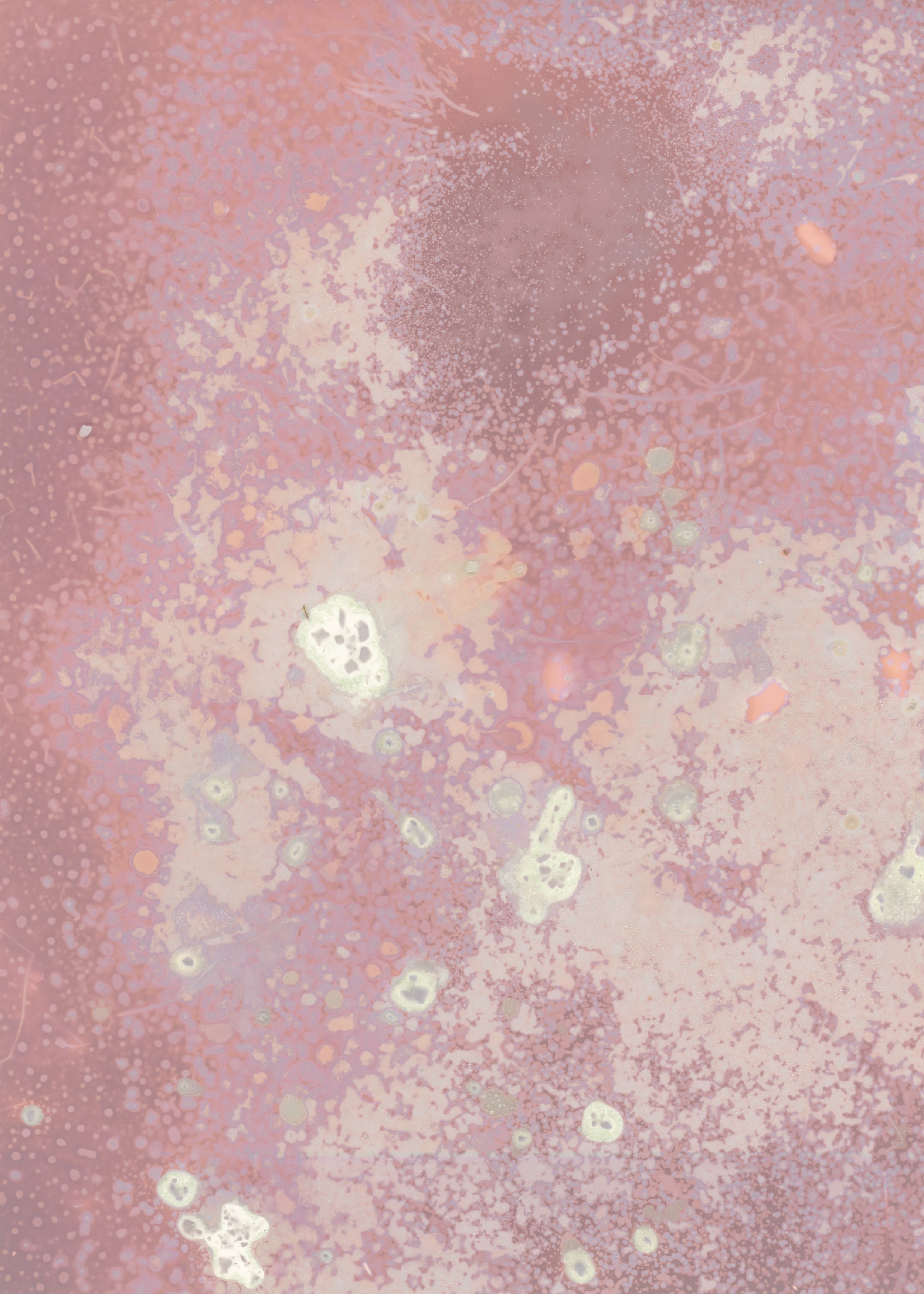 scans20260114_15205168 copy.jpg