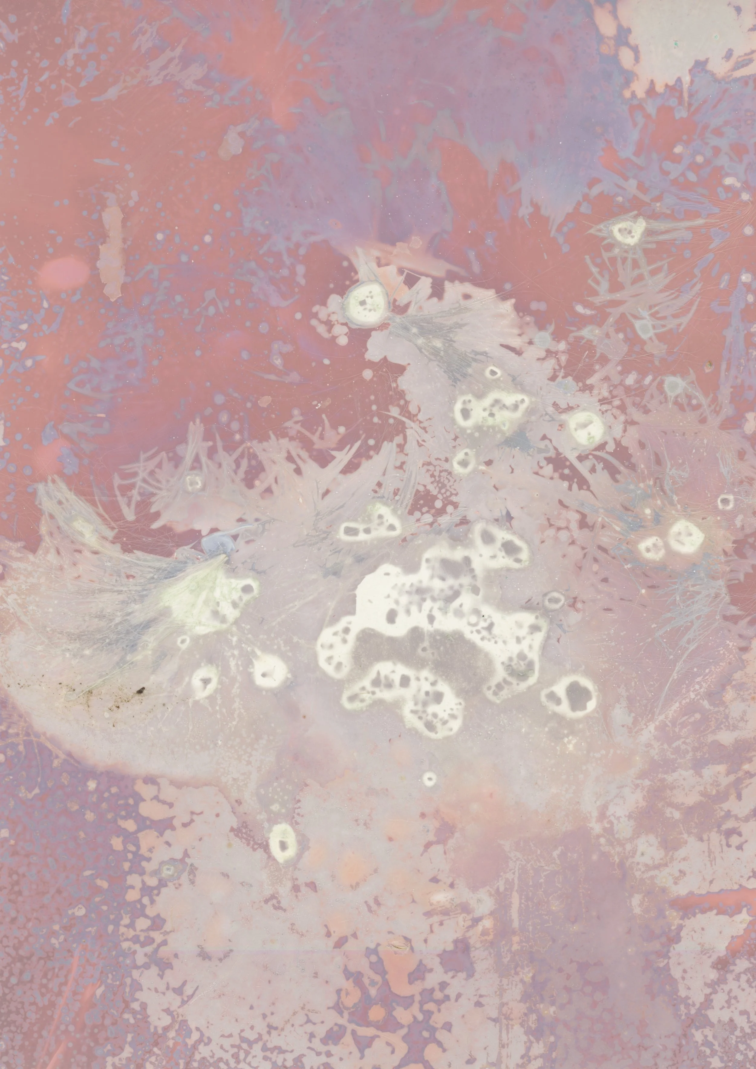 scans20260114_15242899 copy.jpg